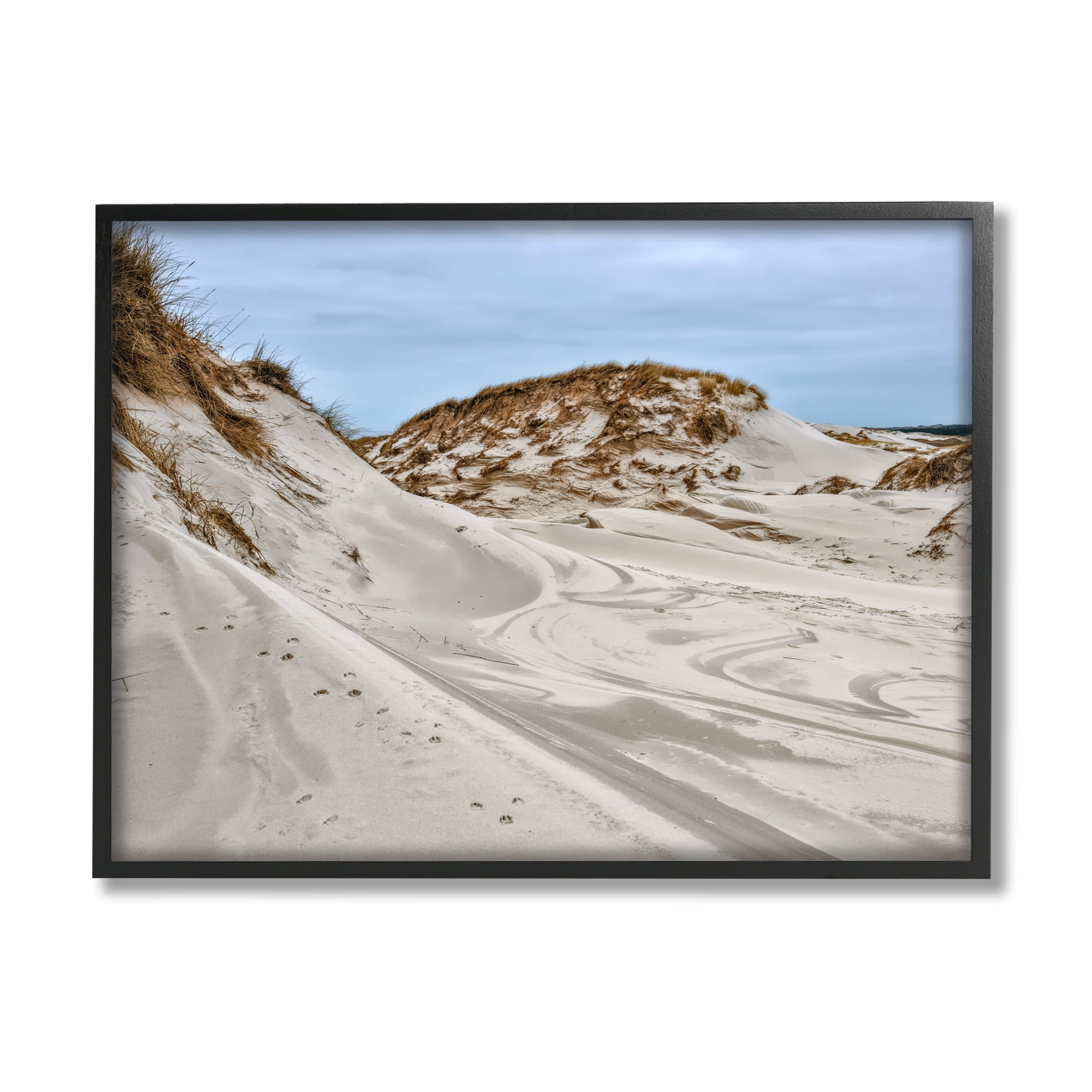Stupell Industries Coastal Sand Dunes Photography Nature Photography Black Framed Art Print Wall Art, 20 x 16
