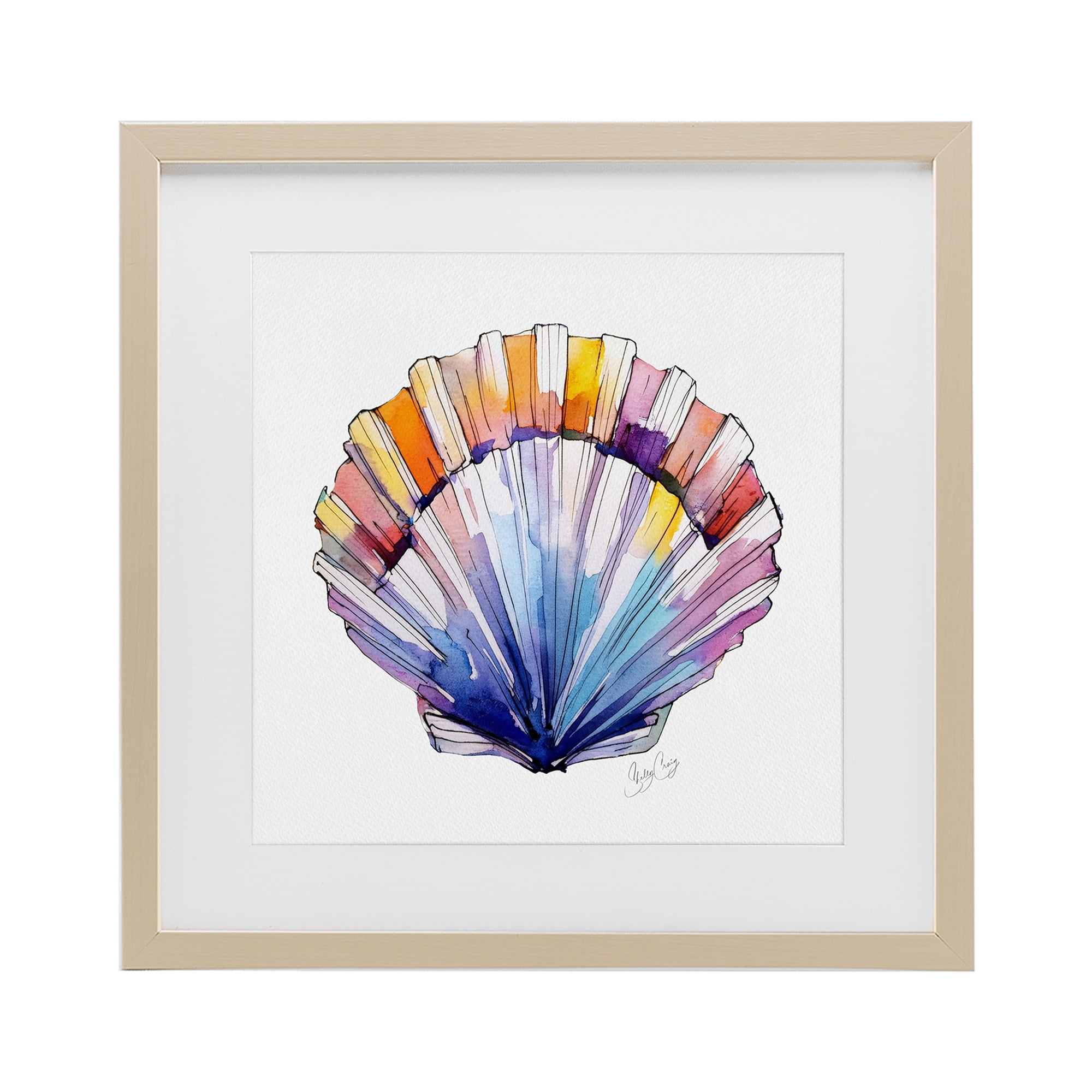 Stupell Industries Coastal Scallop Watercolor Birch Framed Print Under Glass, design by Shelly Craig