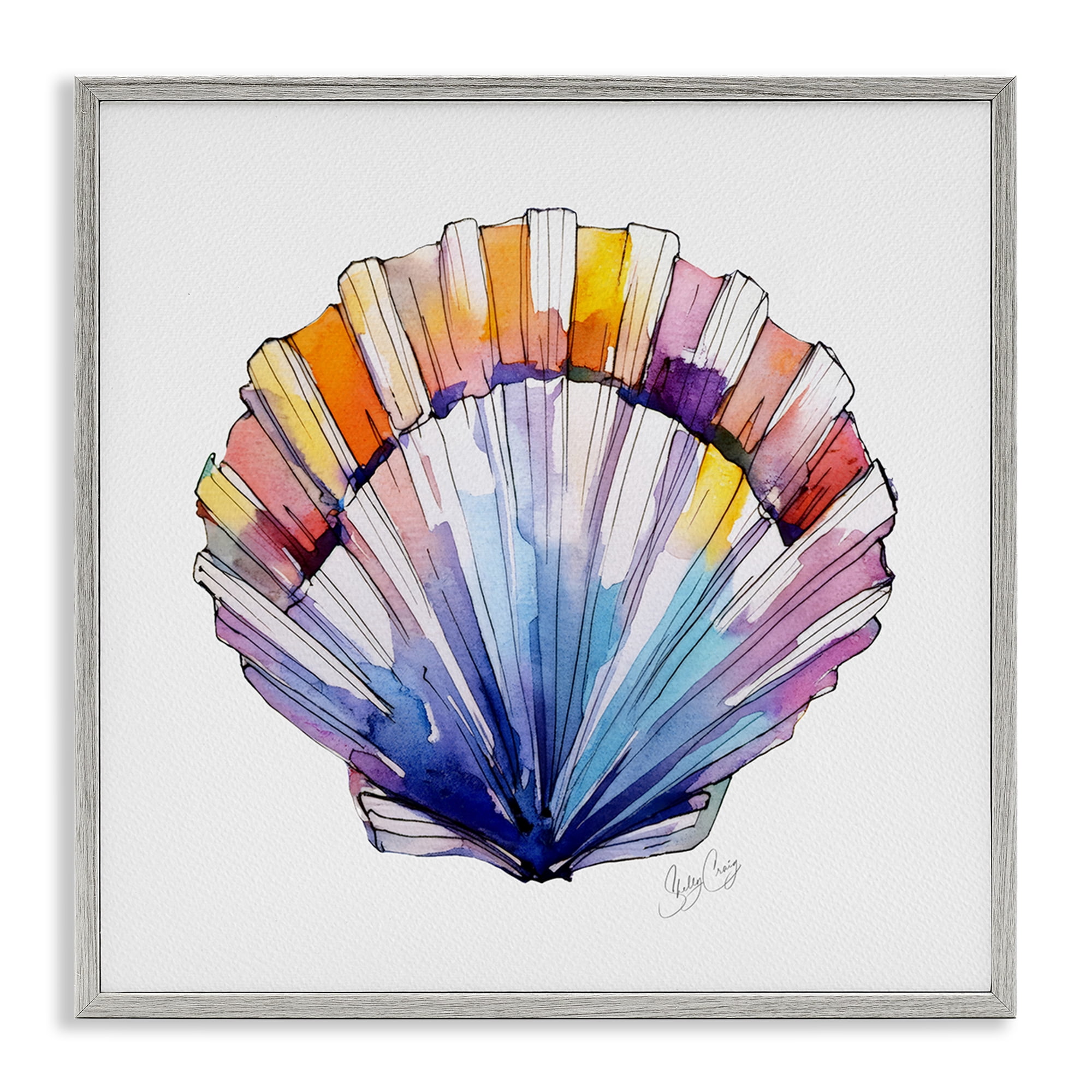 Stupell Industries Coastal Scallop Watercolor Gray Framed Giclee Art, design by Shelly Craig