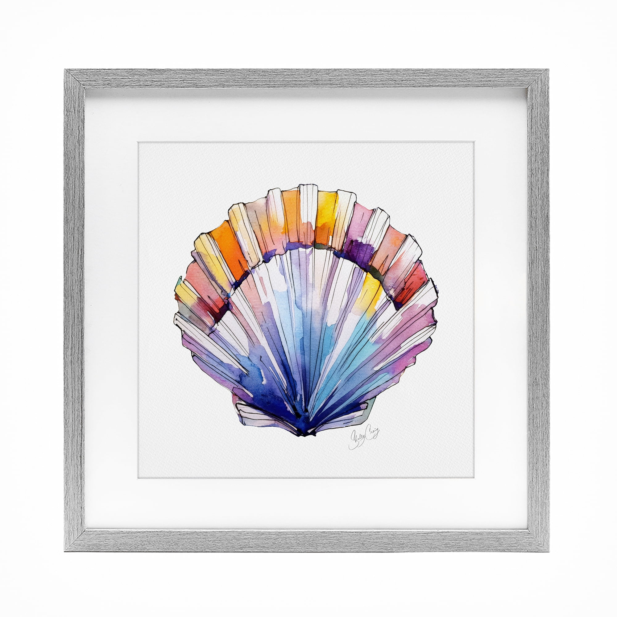 Stupell Industries Coastal Scallop Watercolor Gray Framed Print Under Glass, design by Shelly Craig