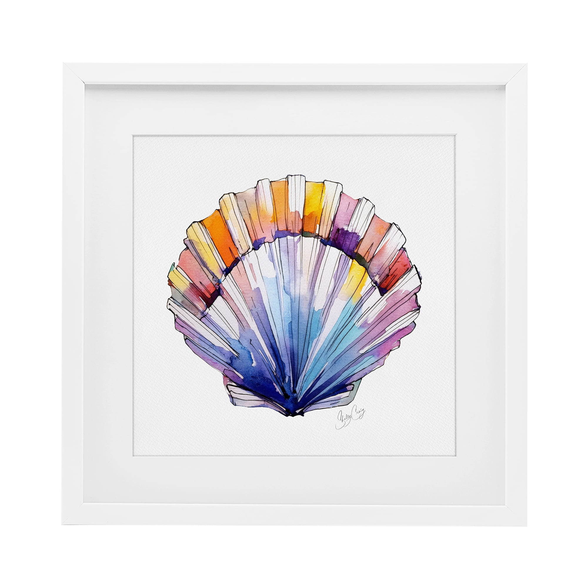 Stupell Industries Coastal Scallop Watercolor White Framed Print Under Glass, design by Shelly Craig