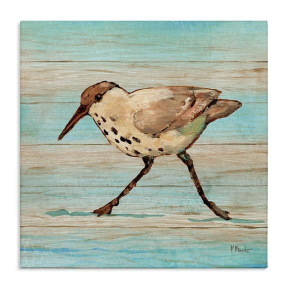 Stupell Industries Coastal Teak Sandpiper Canvas Wall Art design by Paul Brent, 17 x 17