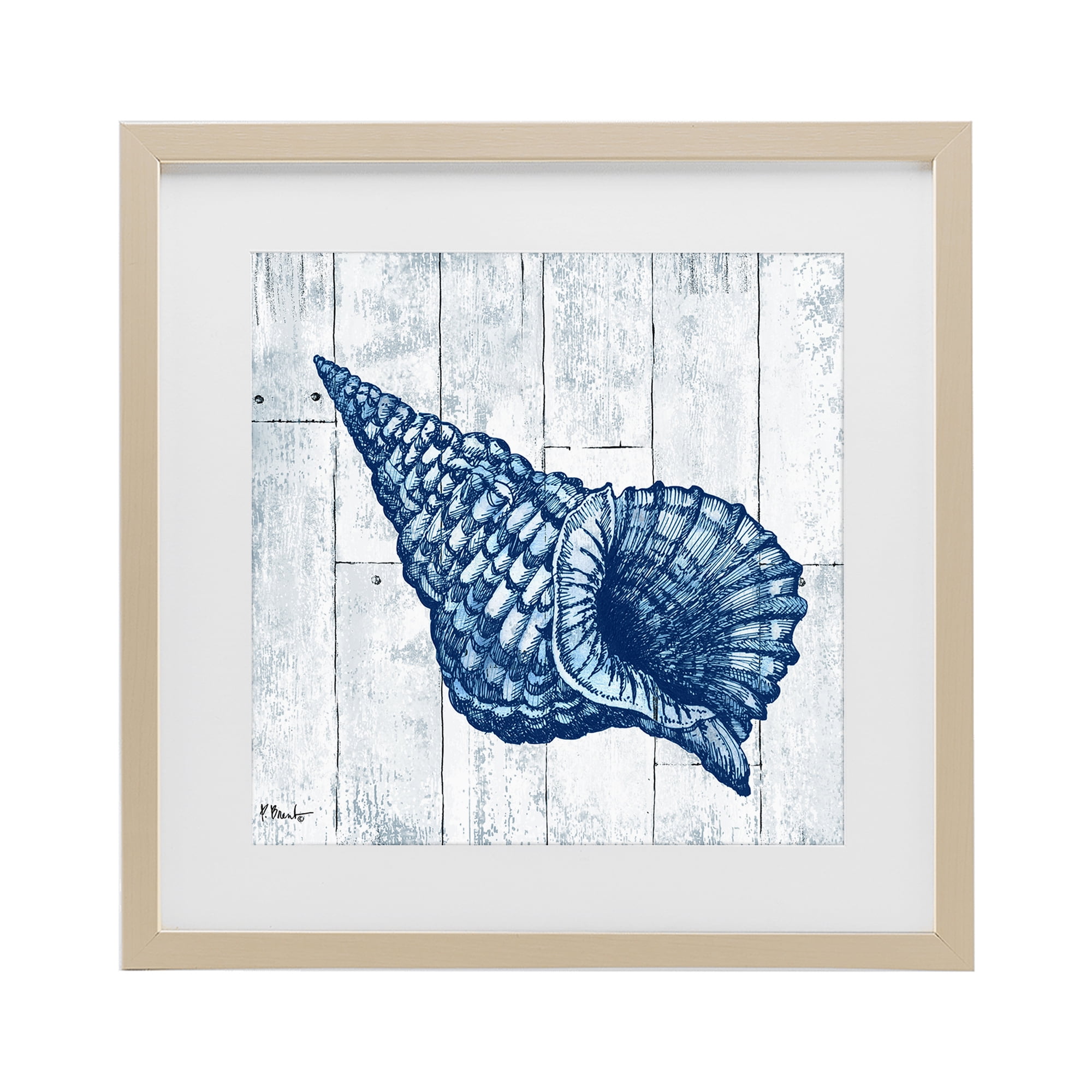 Stupell Industries Coastal Timberland Conch Birch Framed Print Under Glass, design by Paul Brent