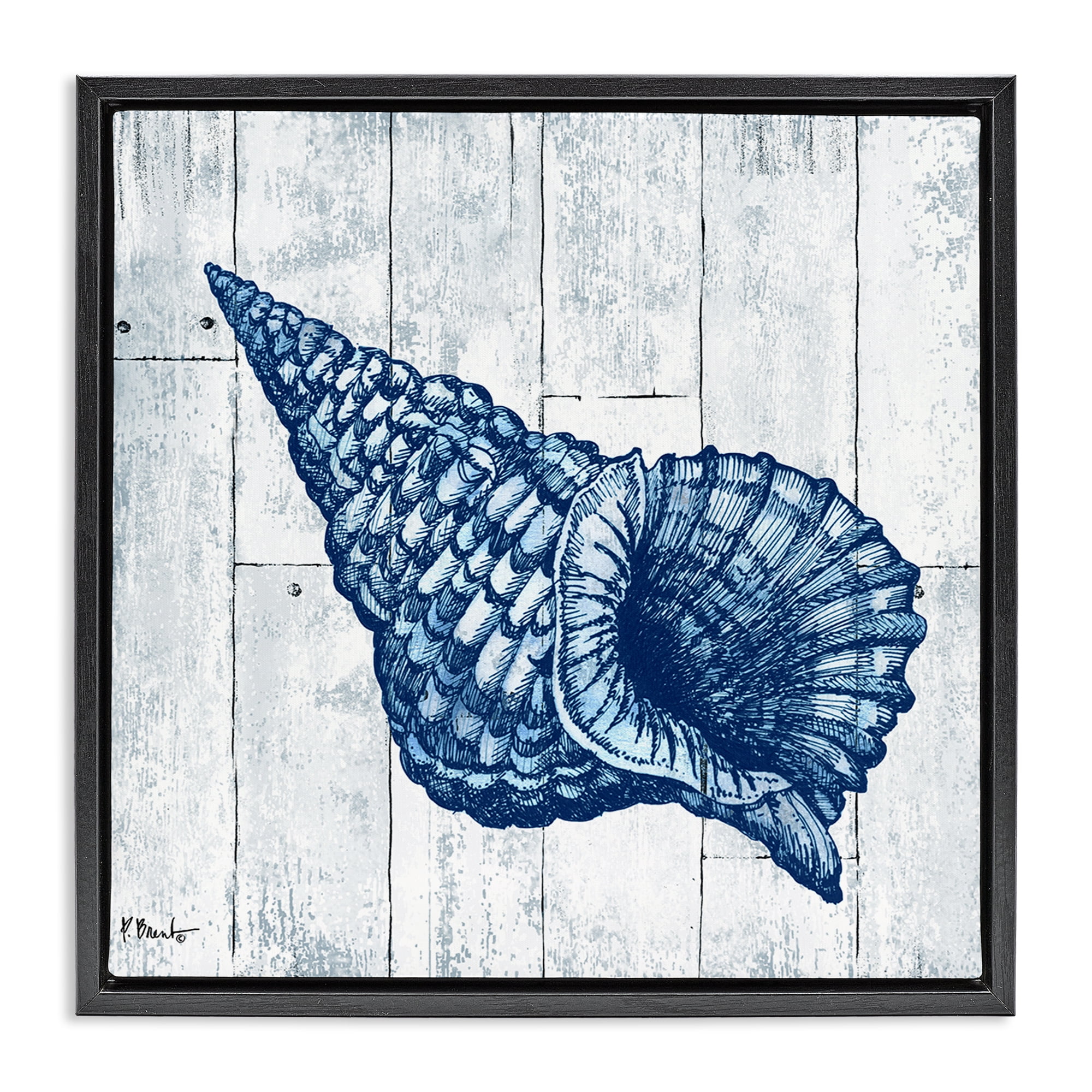 Stupell Industries Coastal Timberland Conch Black Framed Floater Canvas Wall Art, design by Paul Brent