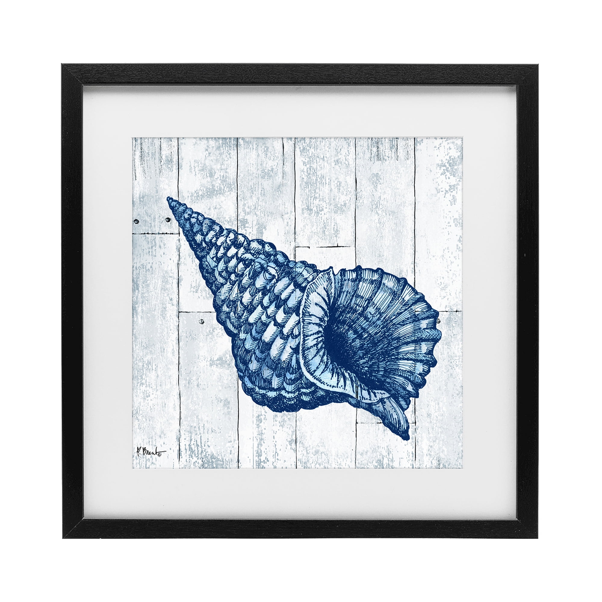 Stupell Industries Coastal Timberland Conch Black Framed Print Under Glass, design by Paul Brent