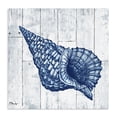 thumbnail image 1 of Stupell Industries Rustic Lodge Coastal Timberland Conch Canvas Art, 36 x 36, by Paul Brent, 1 of 8