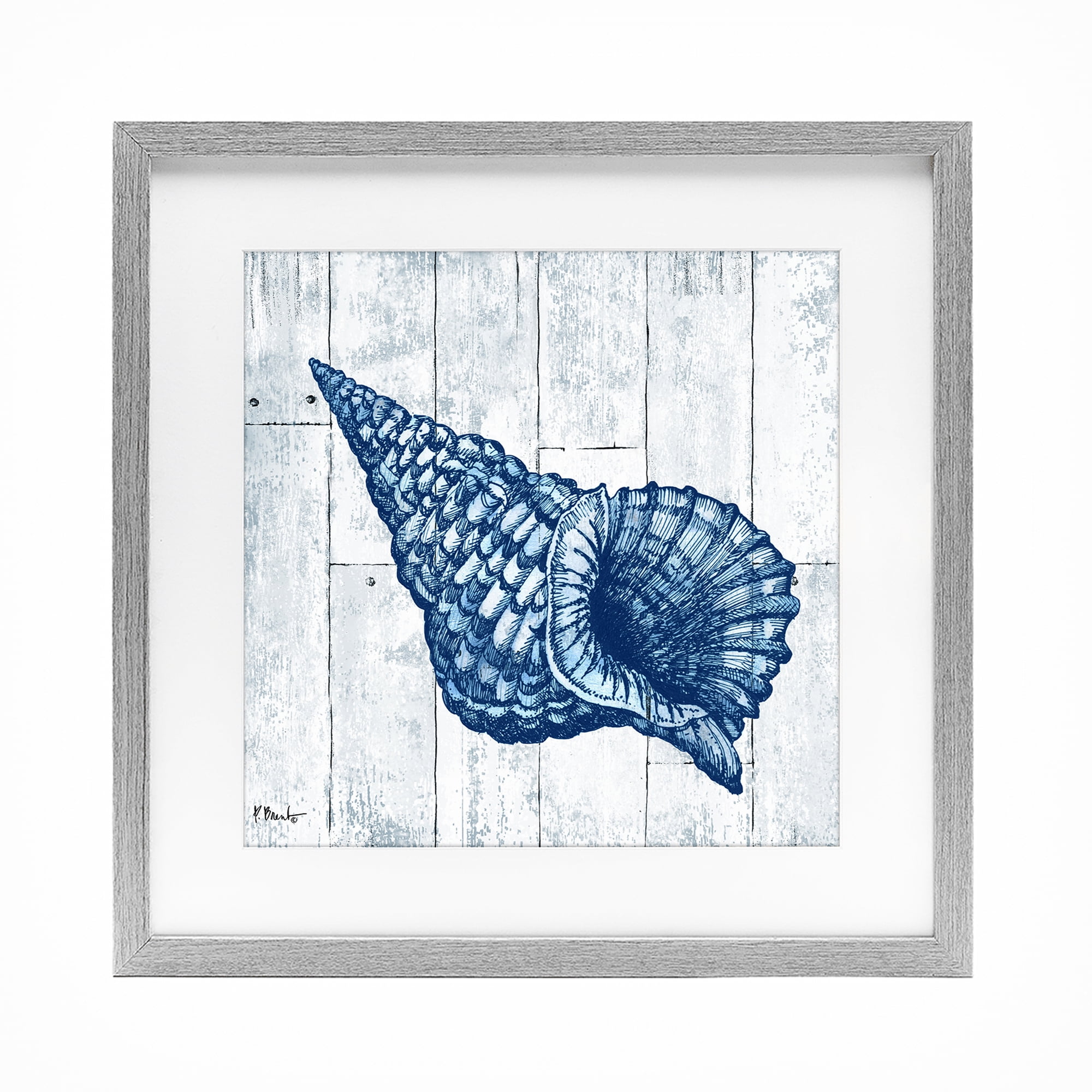 Stupell Industries Coastal Timberland Conch Gray Framed Print Under Glass, design by Paul Brent