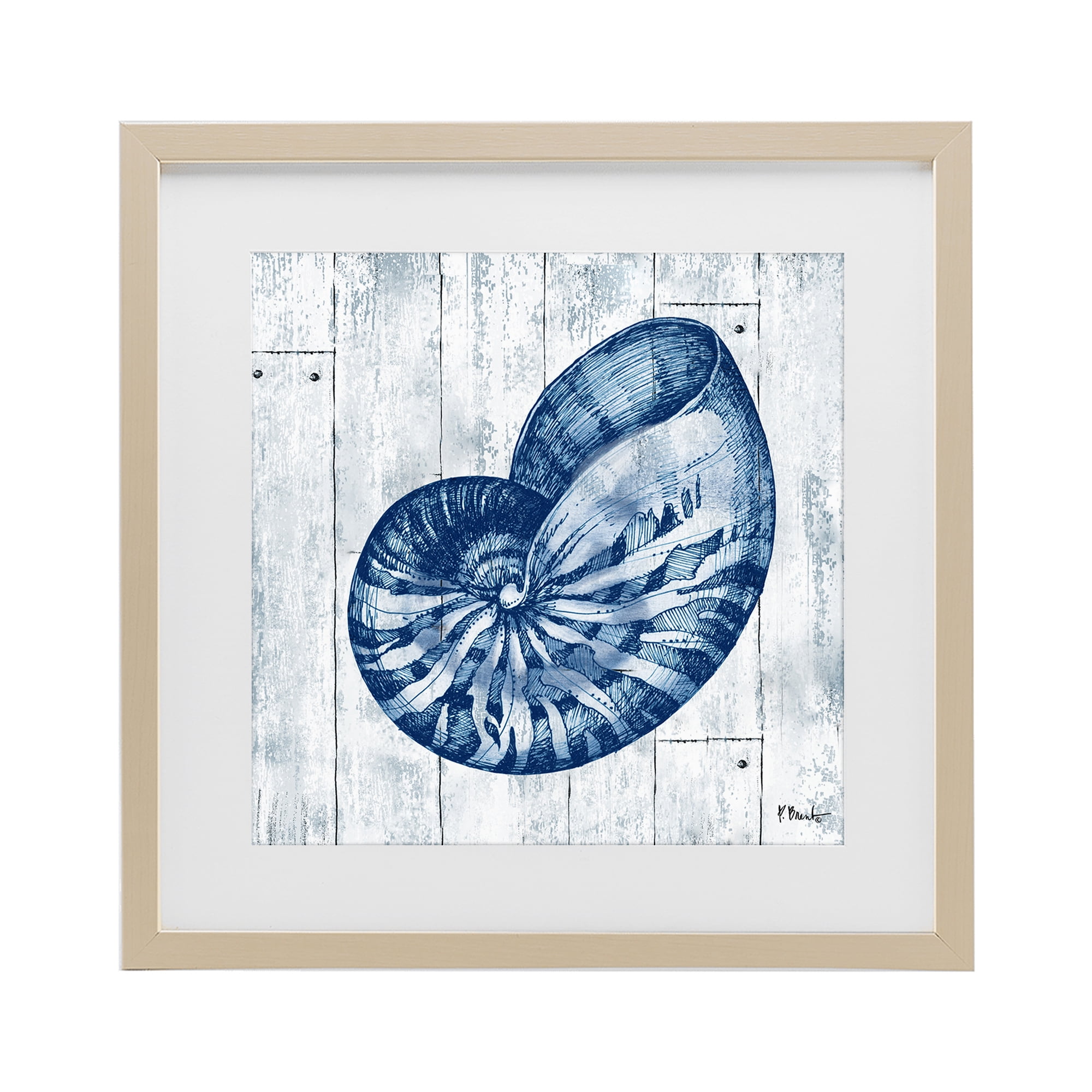 Stupell Industries Coastal Timberland Nautilus Birch Framed Print Under Glass, design by Paul Brent