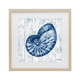 thumbnail image 1 of Stupell Industries Rustic Lodge Coastal Timberland Nautilus Birch Framed Print Under Glass, 16 x 16, by Paul Brent, 1 of 8