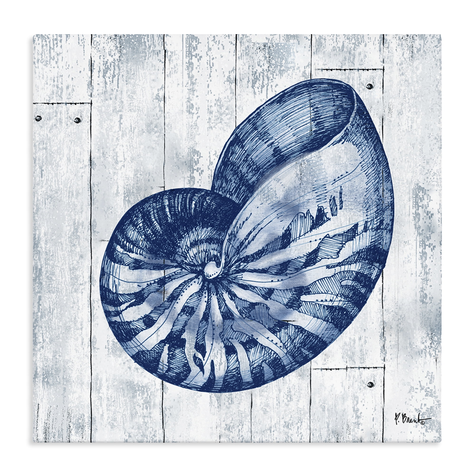 Stupell Industries Coastal Timberland Nautilus Canvas Wall Art, design by Paul Brent