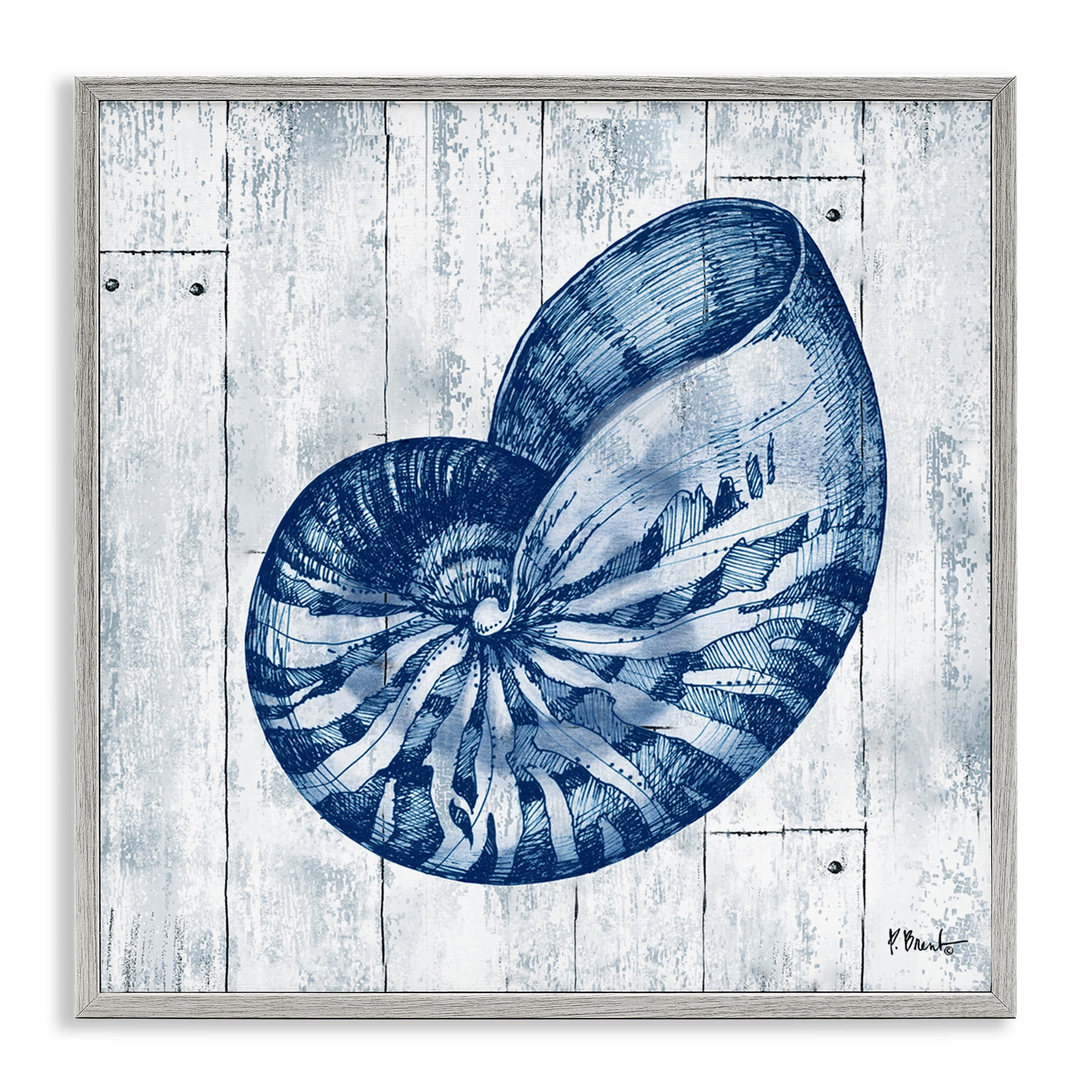 Stupell Industries Coastal Timberland Nautilus Gray Framed Giclee Art, design by Paul Brent