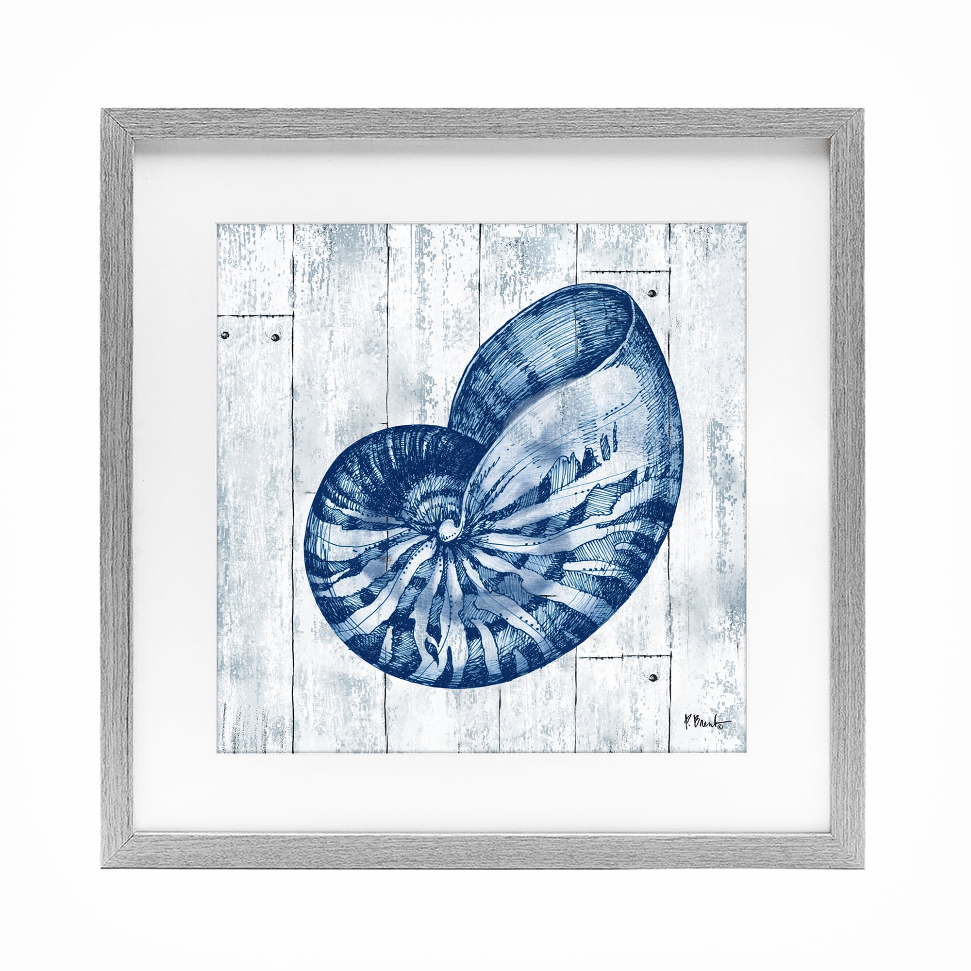 Stupell Industries Coastal Timberland Nautilus Gray Framed Print Under Glass, design by Paul Brent