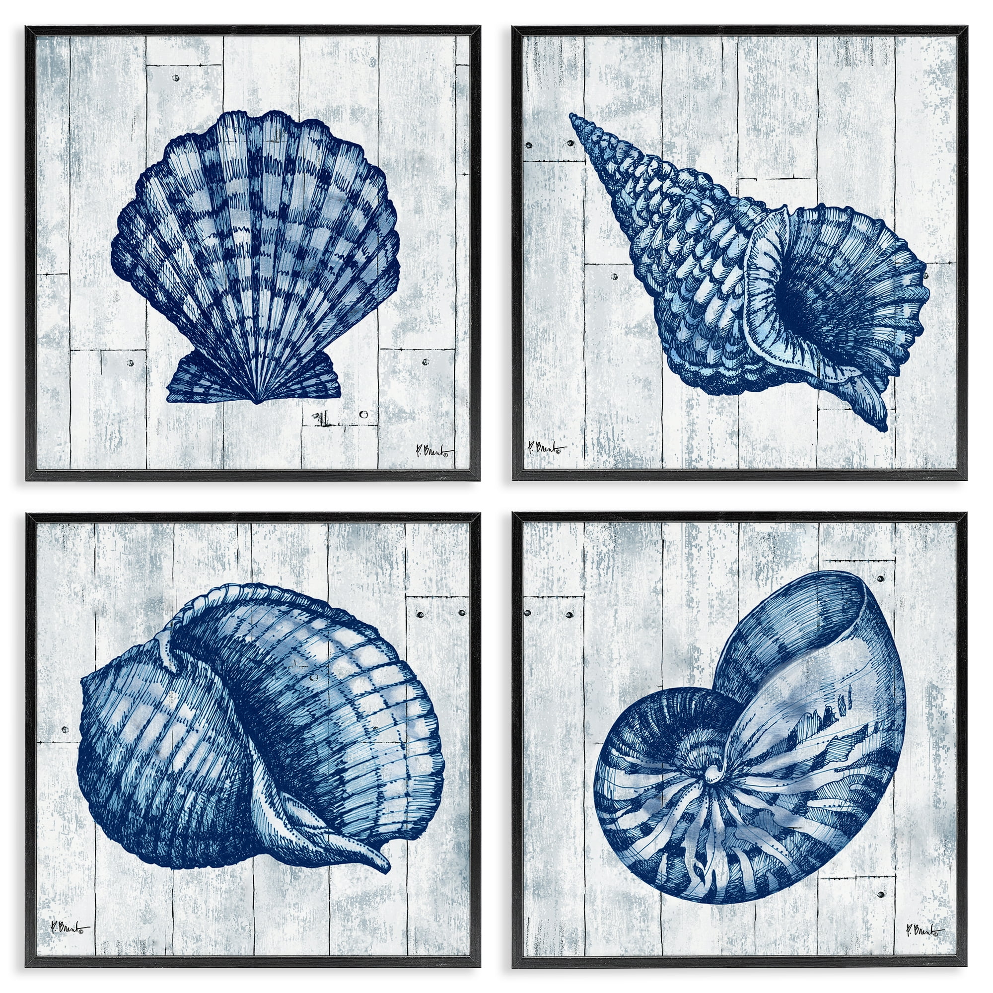 Stupell Industries Coastal Timberland Seashells 4 Piece Black Framed Giclee Art Set, design by Paul Brent