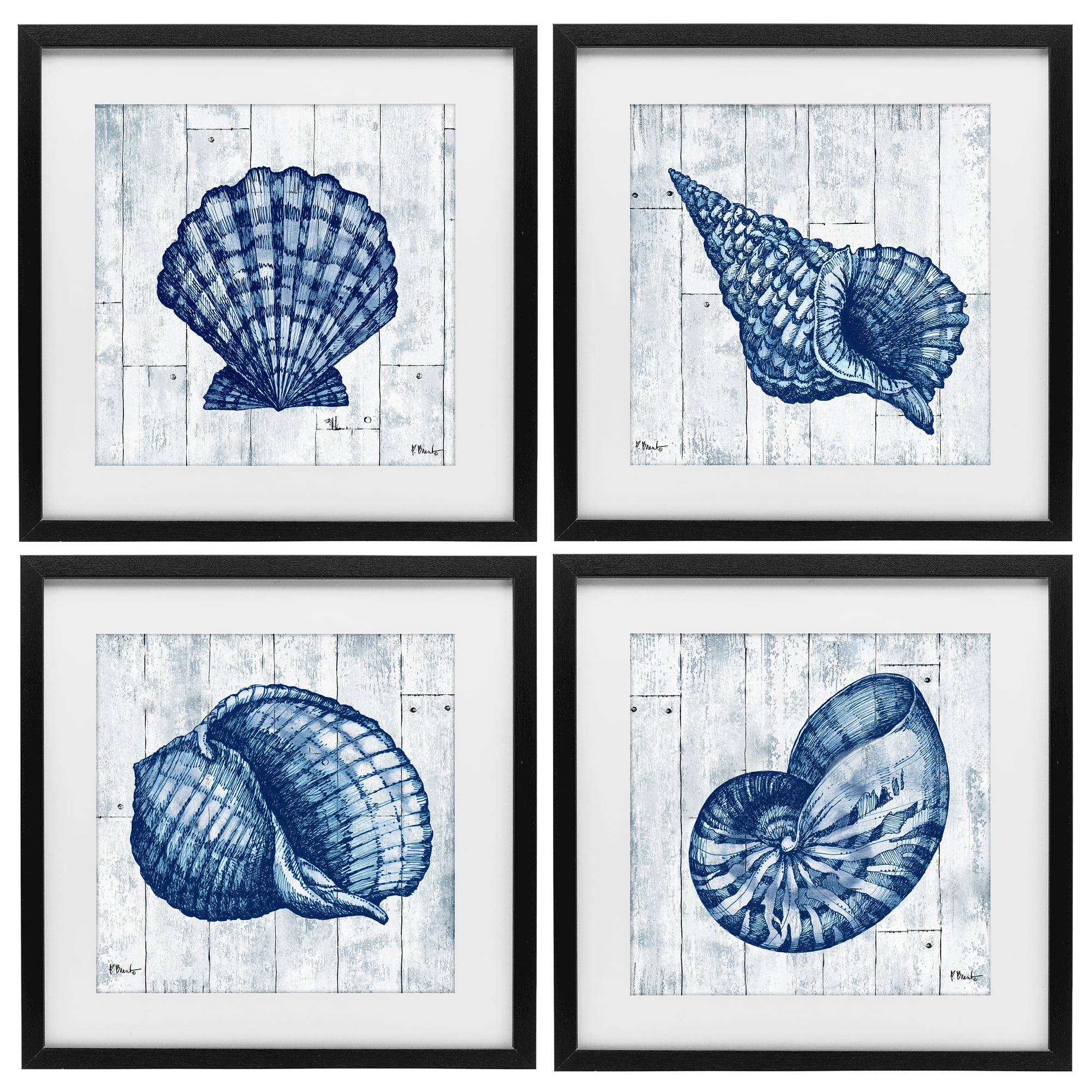 Stupell Industries Coastal Timberland Seashells 4 Piece Black Framed Print Under Glass Set, design by Paul Brent