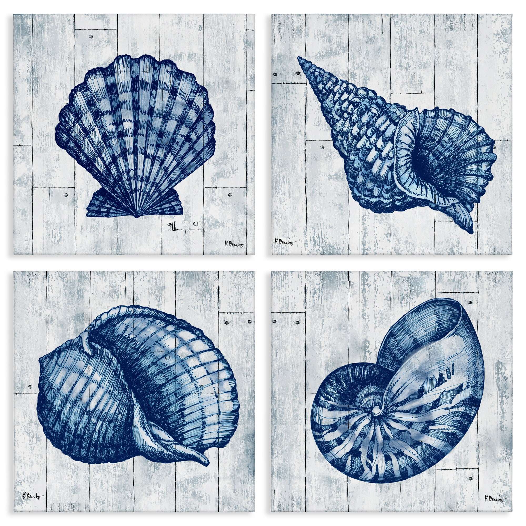 Stupell Industries Coastal Timberland Seashells 4 Piece Canvas Wall Art Set, design by Paul Brent