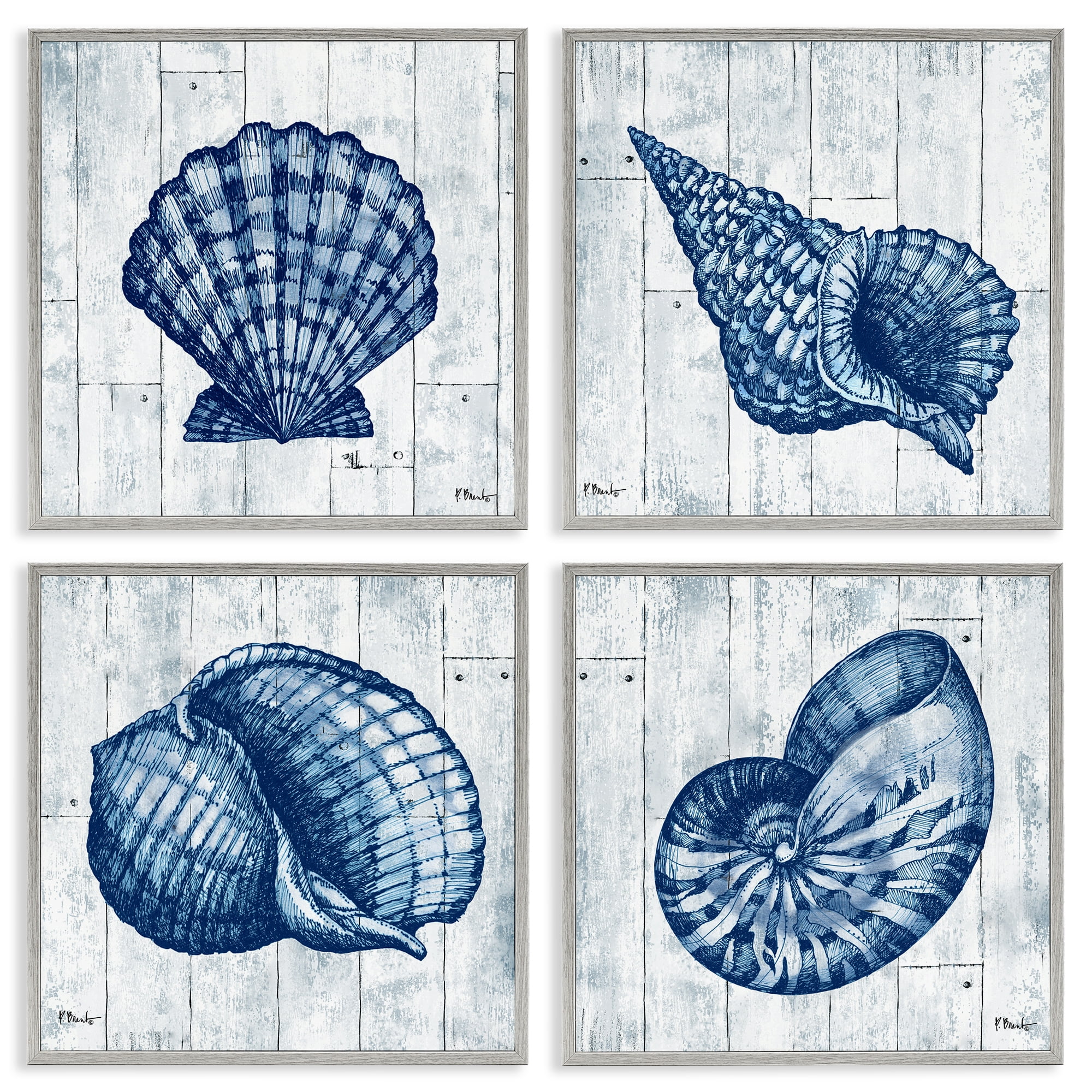 Stupell Industries Coastal Timberland Seashells 4 Piece Gray Framed Giclee Art Set, design by Paul Brent