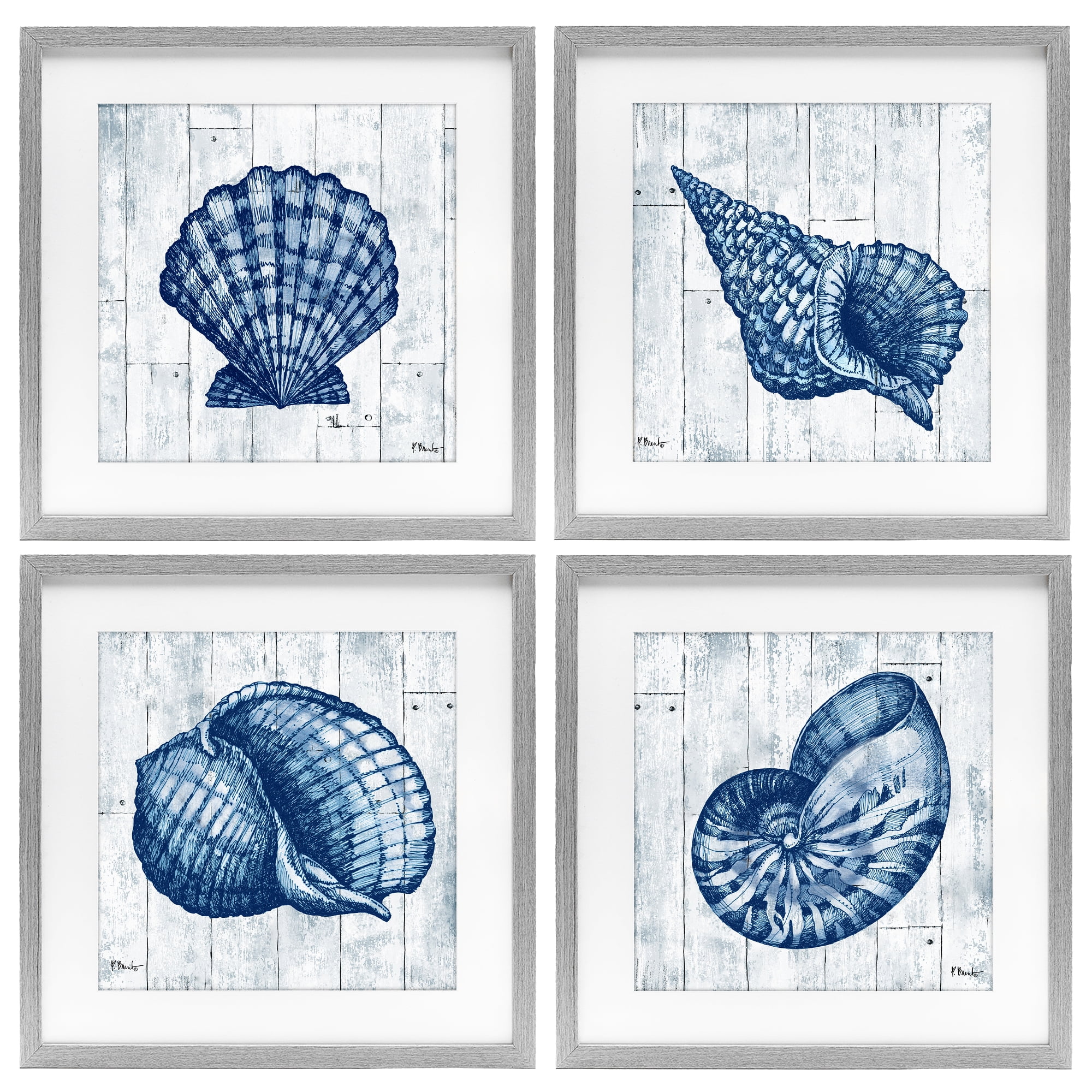 Stupell Industries Coastal Timberland Seashells 4 Piece Gray Framed Print Under Glass Set, design by Paul Brent