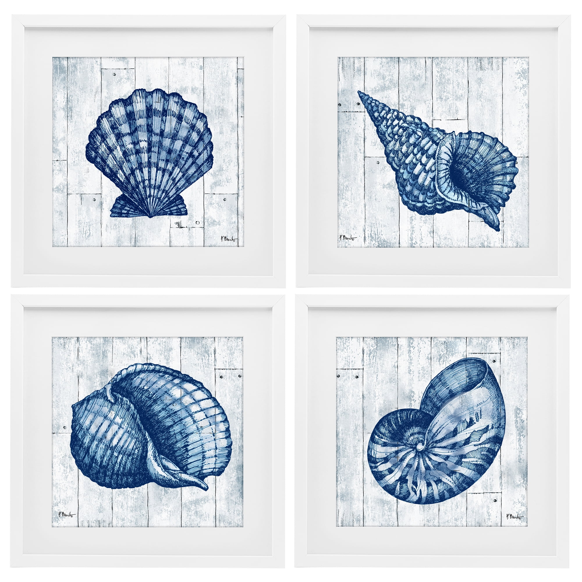Stupell Industries Coastal Timberland Seashells 4 Piece White Framed Print Under Glass Set, design by Paul Brent