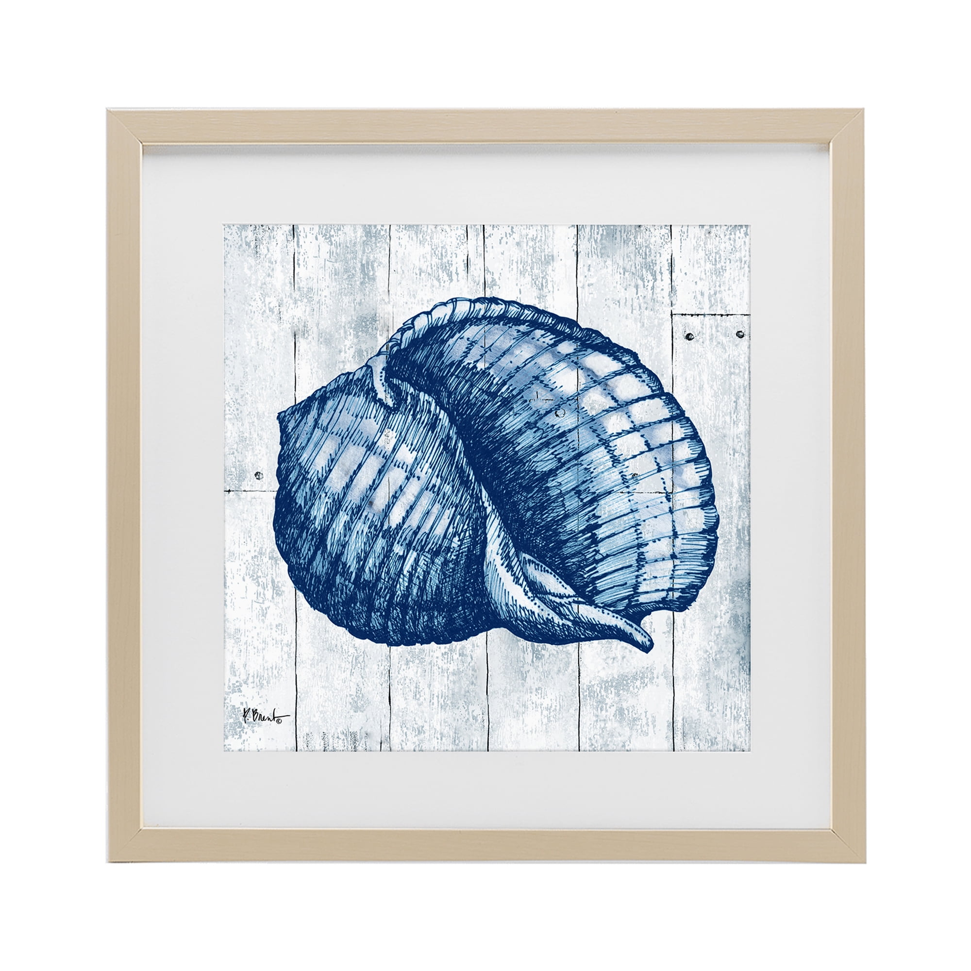 Stupell Industries Coastal Timberland Shell Birch Framed Print Under Glass, design by Paul Brent