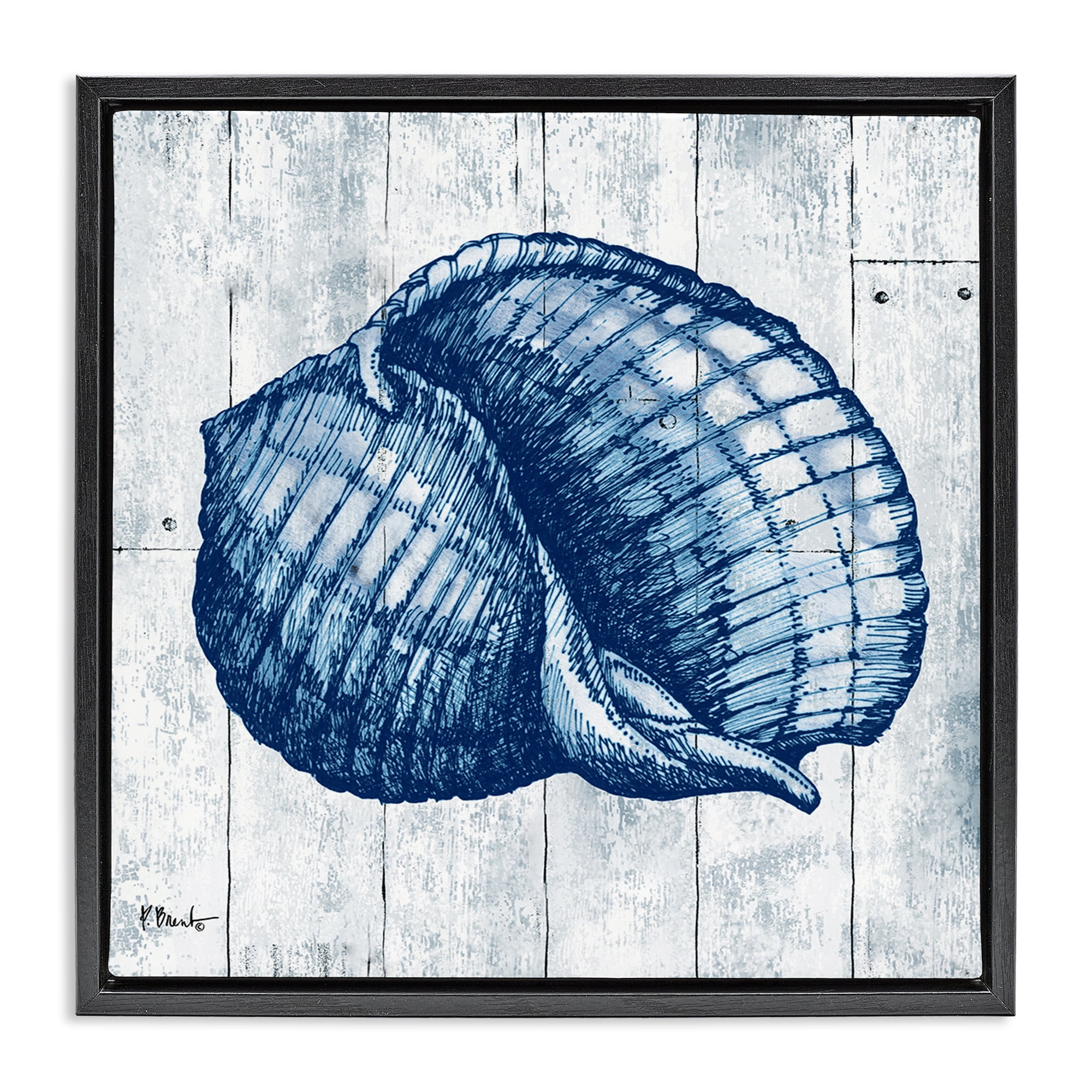 Stupell Industries Coastal Timberland Shell Black Framed Floater Canvas Wall Art, design by Paul Brent