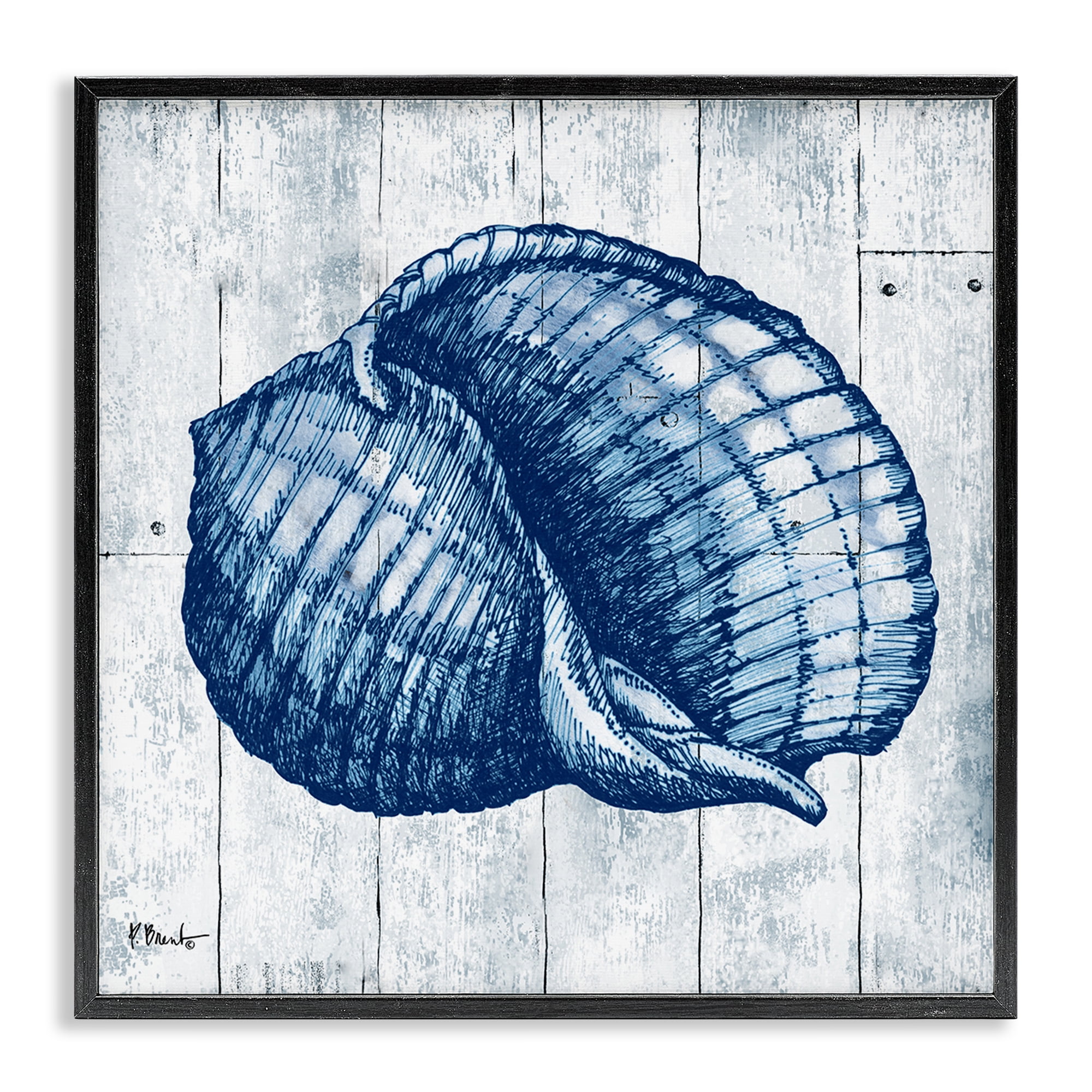 Stupell Industries Coastal Timberland Shell Black Framed Giclee Art, design by Paul Brent