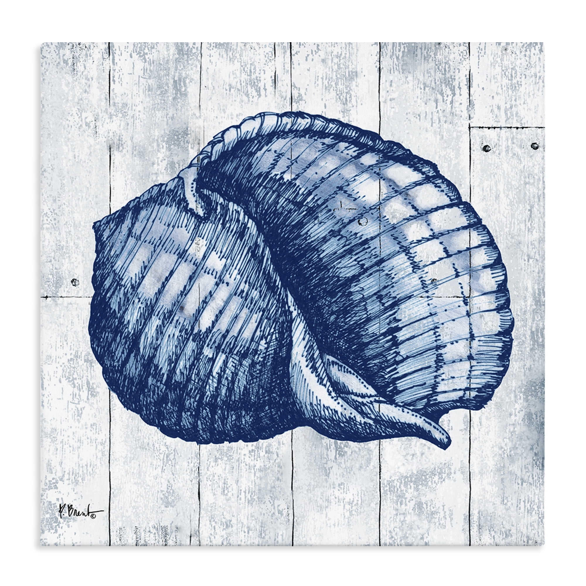 Stupell Industries Coastal Timberland Shell Canvas Wall Art, design by Paul Brent