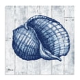 thumbnail image 1 of Stupell Industries Rustic Lodge Coastal Timberland Shell Canvas Art, 24 x 24, by Paul Brent, 1 of 8