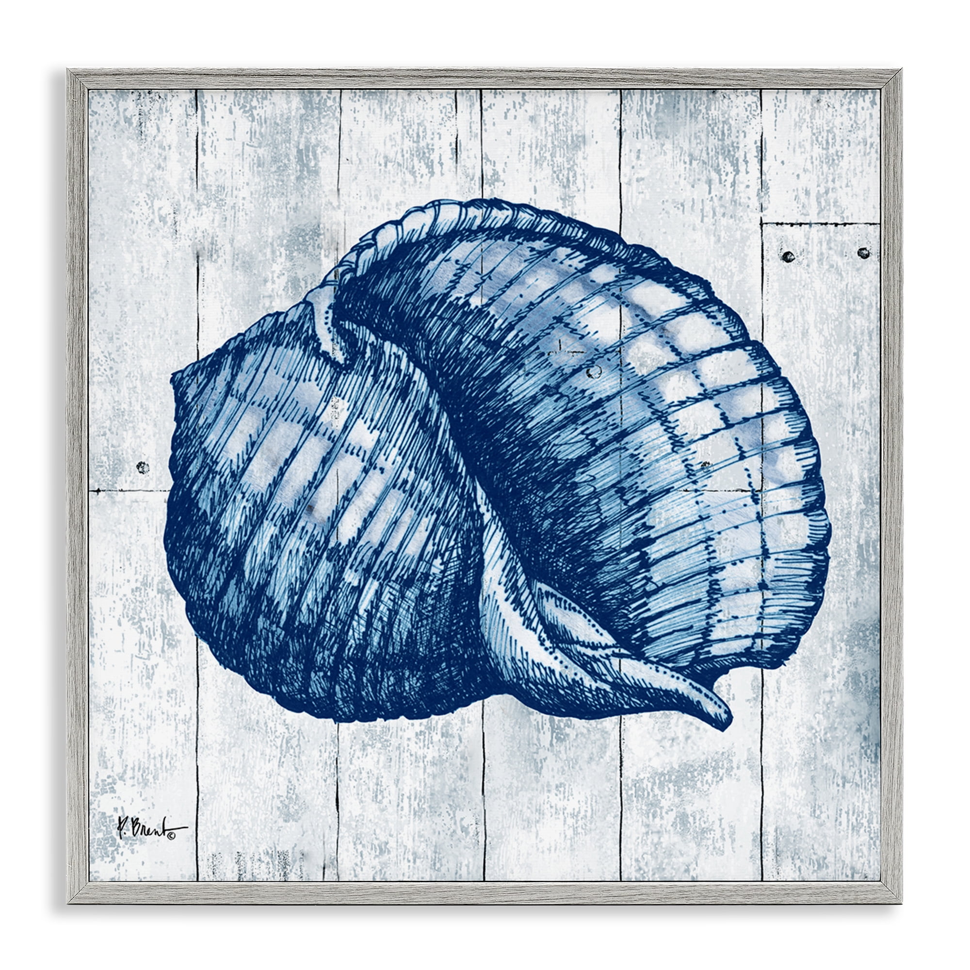 Stupell Industries Coastal Timberland Shell Gray Framed Giclee Art, design by Paul Brent