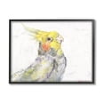 thumbnail image 1 of Stupell Industries Cockatiel Bird Portrait Tropical Yellow Grey Pet Black Framed, 11 x 14, Design by George Dyachenko, 1 of 8