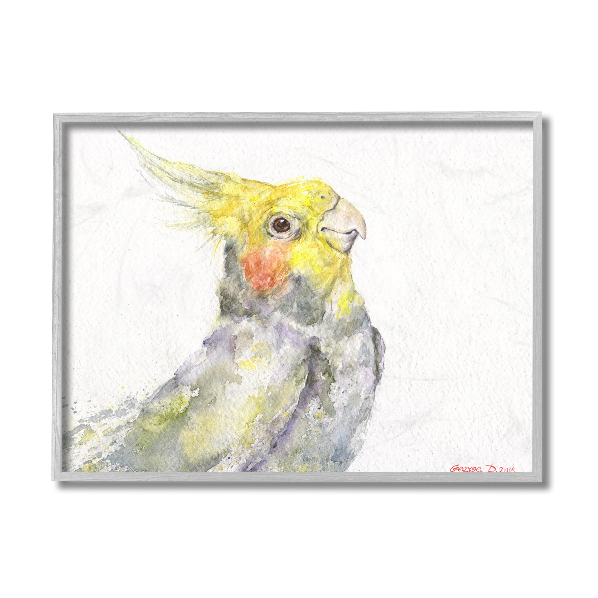Stupell Industries Cockatiel Bird Portrait Tropical Yellow Grey Pet Grey Framed, 11 x 14, Design by George Dyachenko