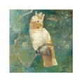 thumbnail image 1 of Stupell Industries Cockatoo Boho Pattern Animals & Insects Painting Gallery Wrapped Canvas Art Print Wall Art, 17 x 17, 1 of 8