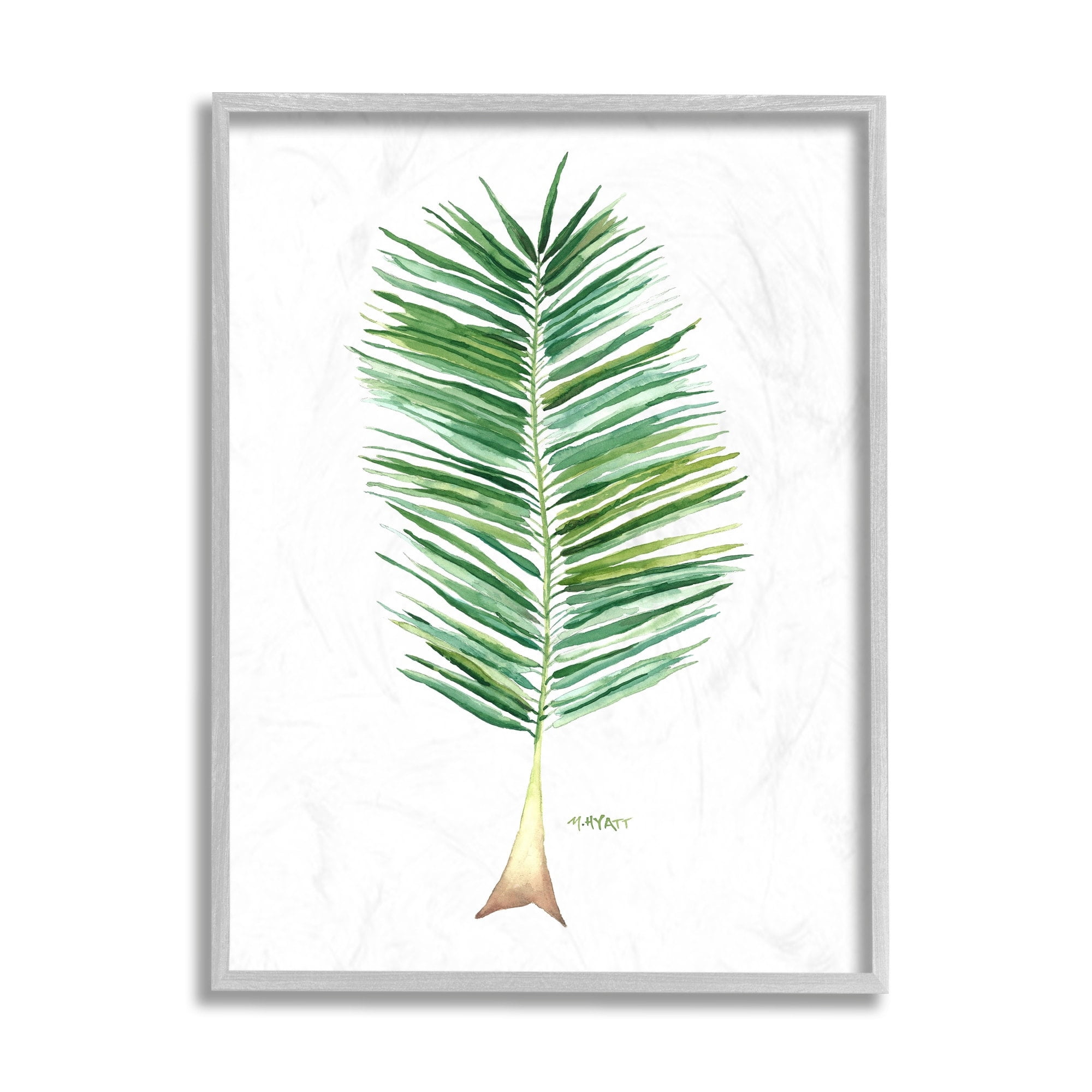 Stupell Industries Coconut Palm Fan Greenery Over White Black Framed, 11 x 14, Design by Melissa Hyatt LLC