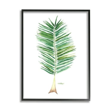 Stupell Industries Coconut Palm Fan Greenery Over White Black Framed, 24 x 30, Design by Melissa Hyatt LLC