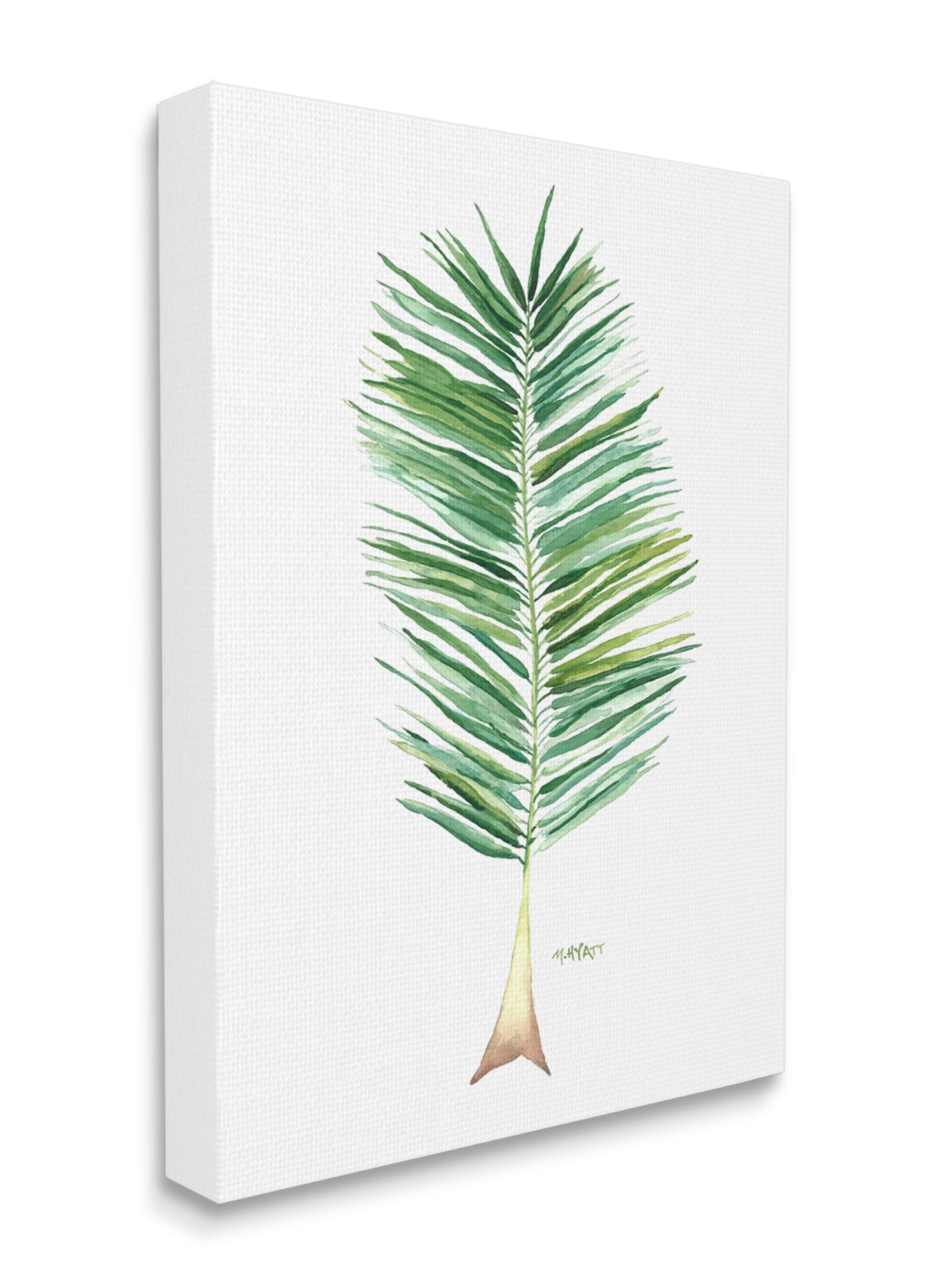Stupell Industries Coconut Palm Fan Greenery Over White Canvas Wall Art, 30 x 40, Design by Melissa Hyatt LLC