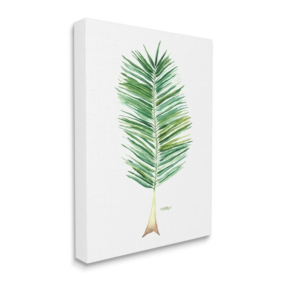Stupell Industries Coconut Palm Fan Greenery Over White Canvas Wall Art, 30 x 40, Design by Melissa Hyatt LLC