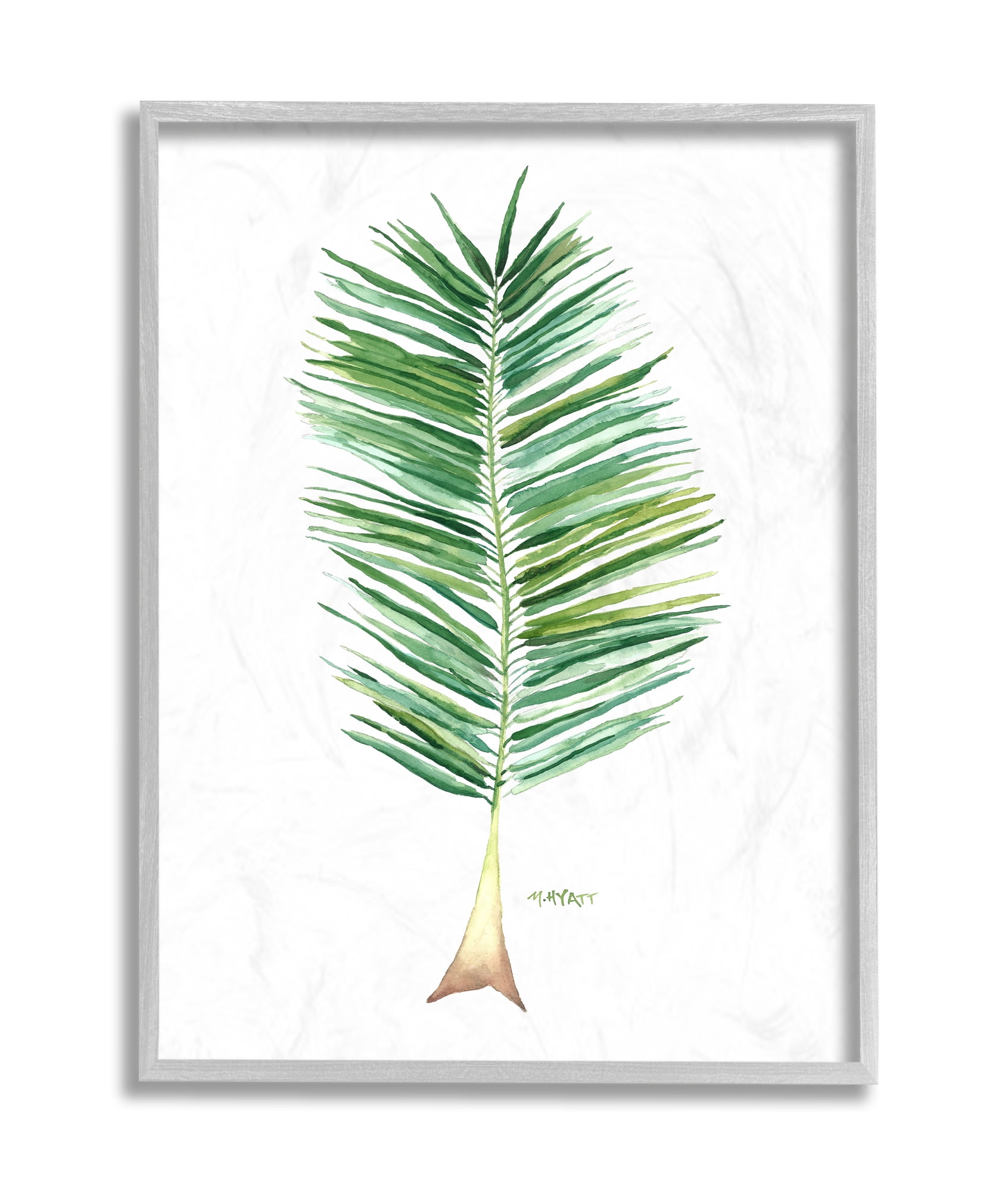 Stupell Industries Coconut Palm Fan Greenery Over White Grey Framed, 11 x 14, Design by Melissa Hyatt LLC