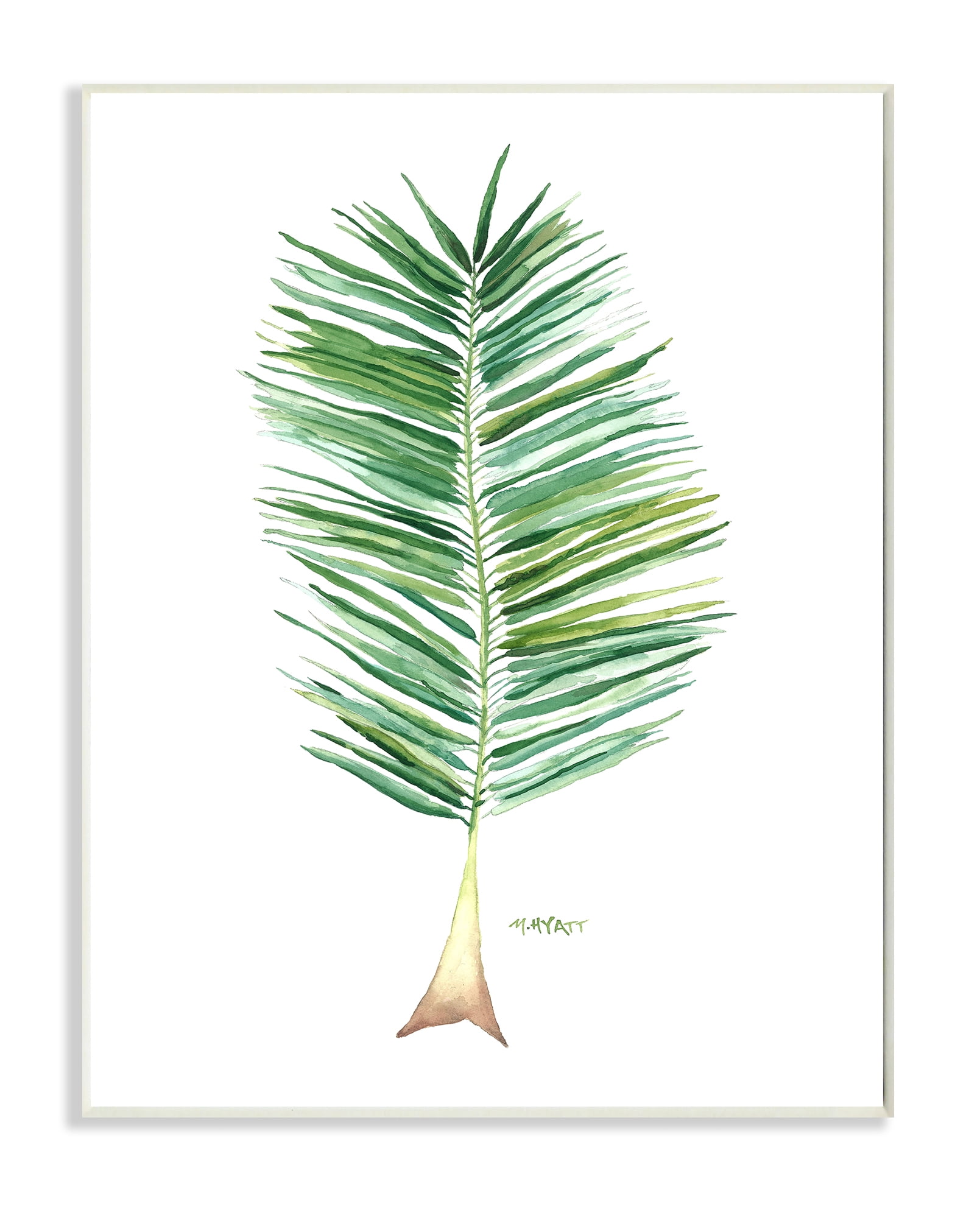 Stupell Industries Coconut Palm Fan Greenery Over White Wall Plaque, 13 x 19, Design by Melissa Hyatt LLC
