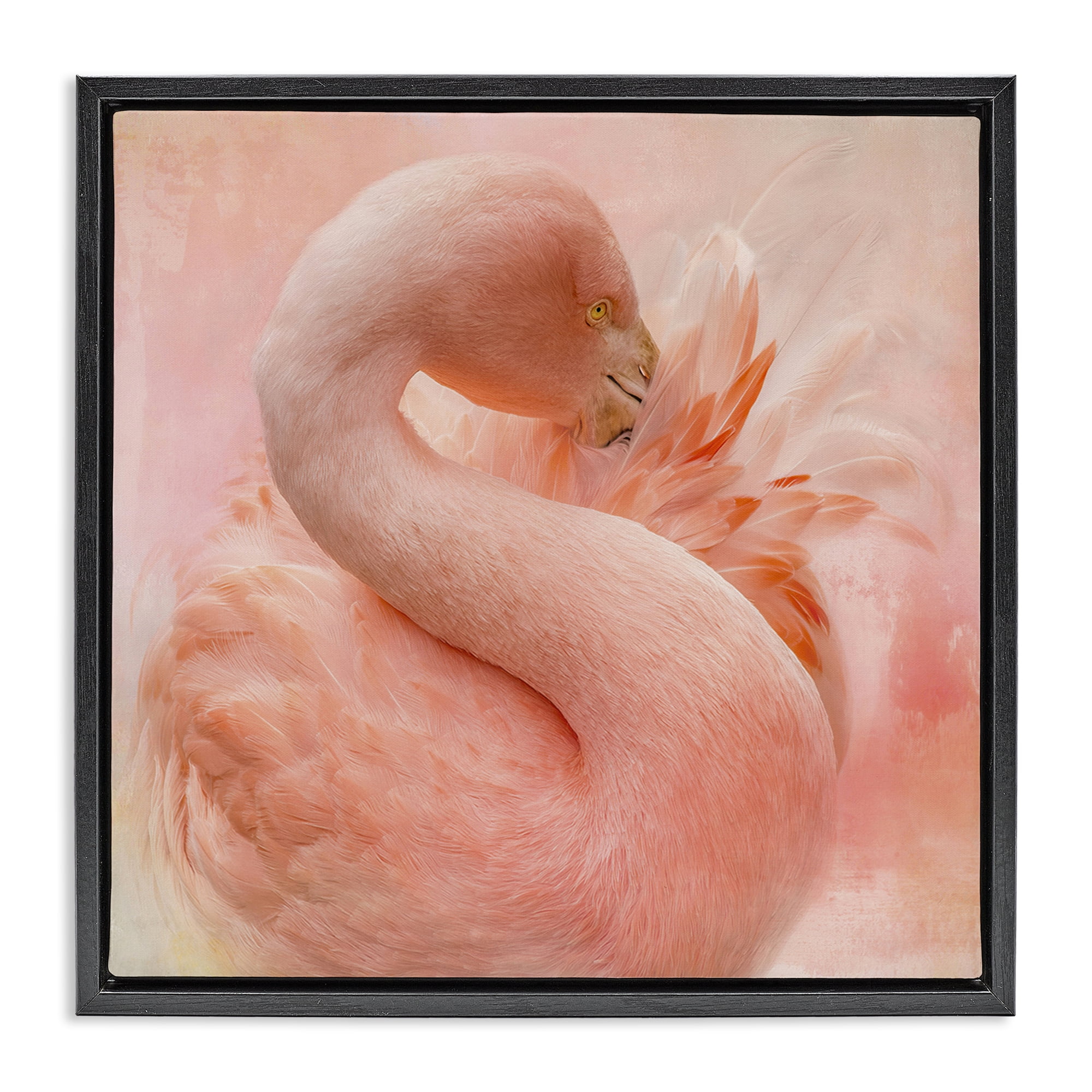 Stupell Industries Cocoon of Plumage Birds Painting Black Floater Framed Canvas Art Print Wall Art, 25 x 25