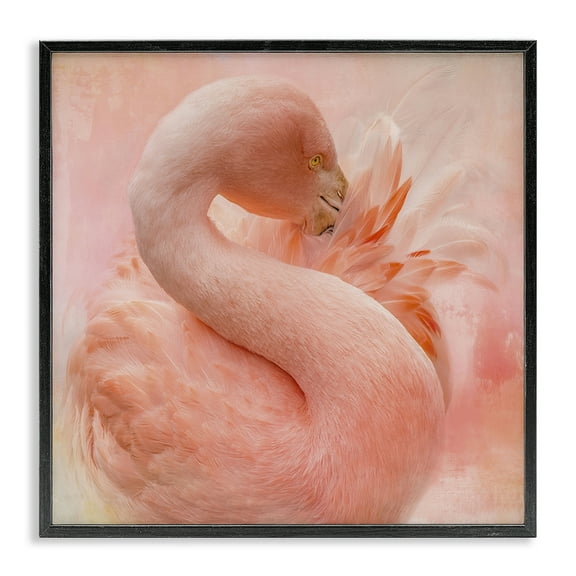Stupell Industries Cocoon of Plumage Birds Painting Black Framed Art Print Wall Art, 12 x 12
