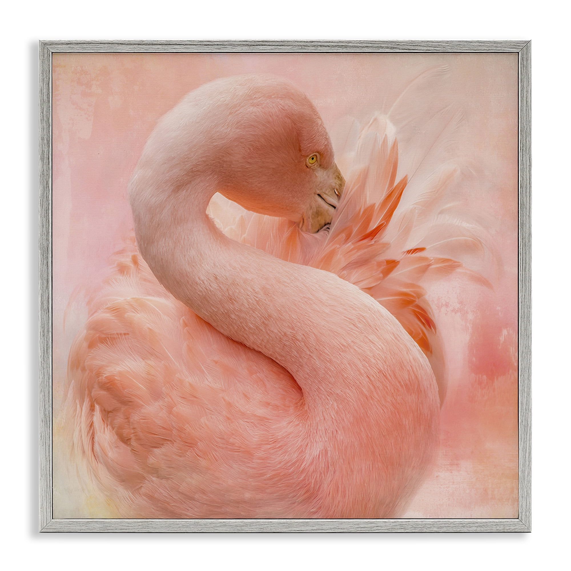Stupell Industries Cocoon of Plumage Birds Painting Gray Framed Art Print Wall Art, 17 x 17