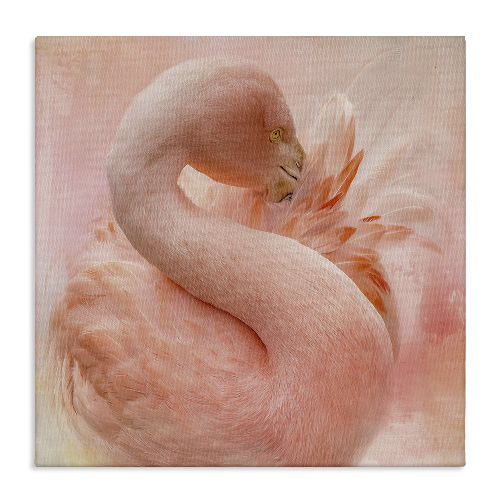 Stupell Industries Cocoon of Plumage Birds Painting Wrapped Canvas Art Print Wall Art, 17 x 17