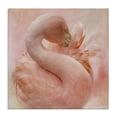 thumbnail image 1 of Stupell Industries Cocoon of Plumage Birds Painting Wrapped Canvas Art Print Wall Art, 36 x 36, 1 of 8