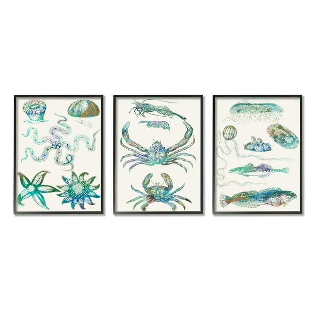 Stupell Industries Collage of Blue Aquatic Creatures Ocean Life Black Framed, 11 x 14, Design by Sharon Chandler
