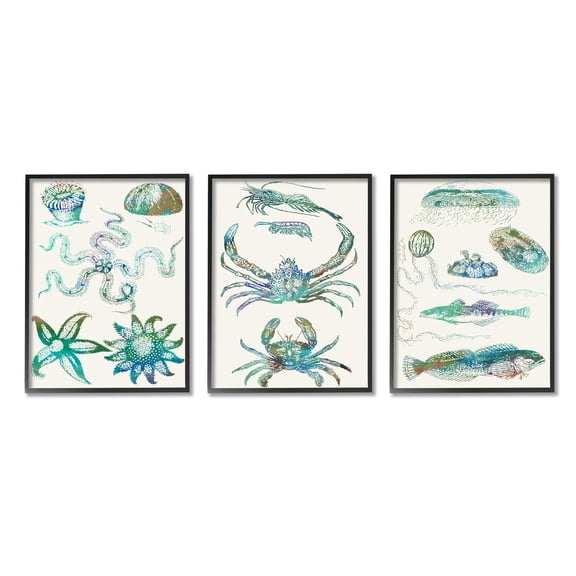 Stupell Industries Collage of Blue Aquatic Creatures Ocean Life Black Framed, 16 x 20, Design by Sharon Chandler