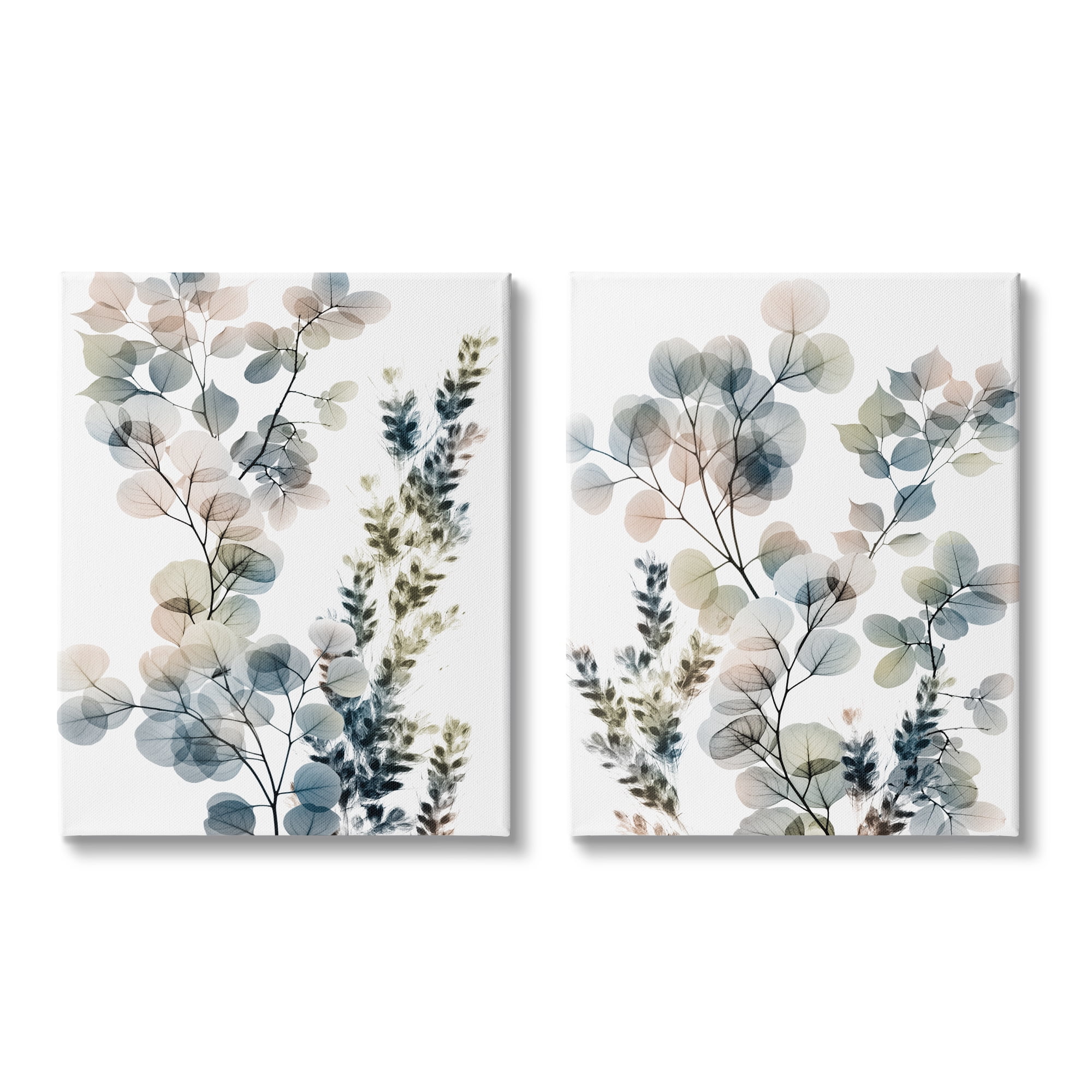 Stupell Industries Collage of Translucent Plants Blue Green Beige,2pc, each 16 x 20,Designed by Albert Koetsier