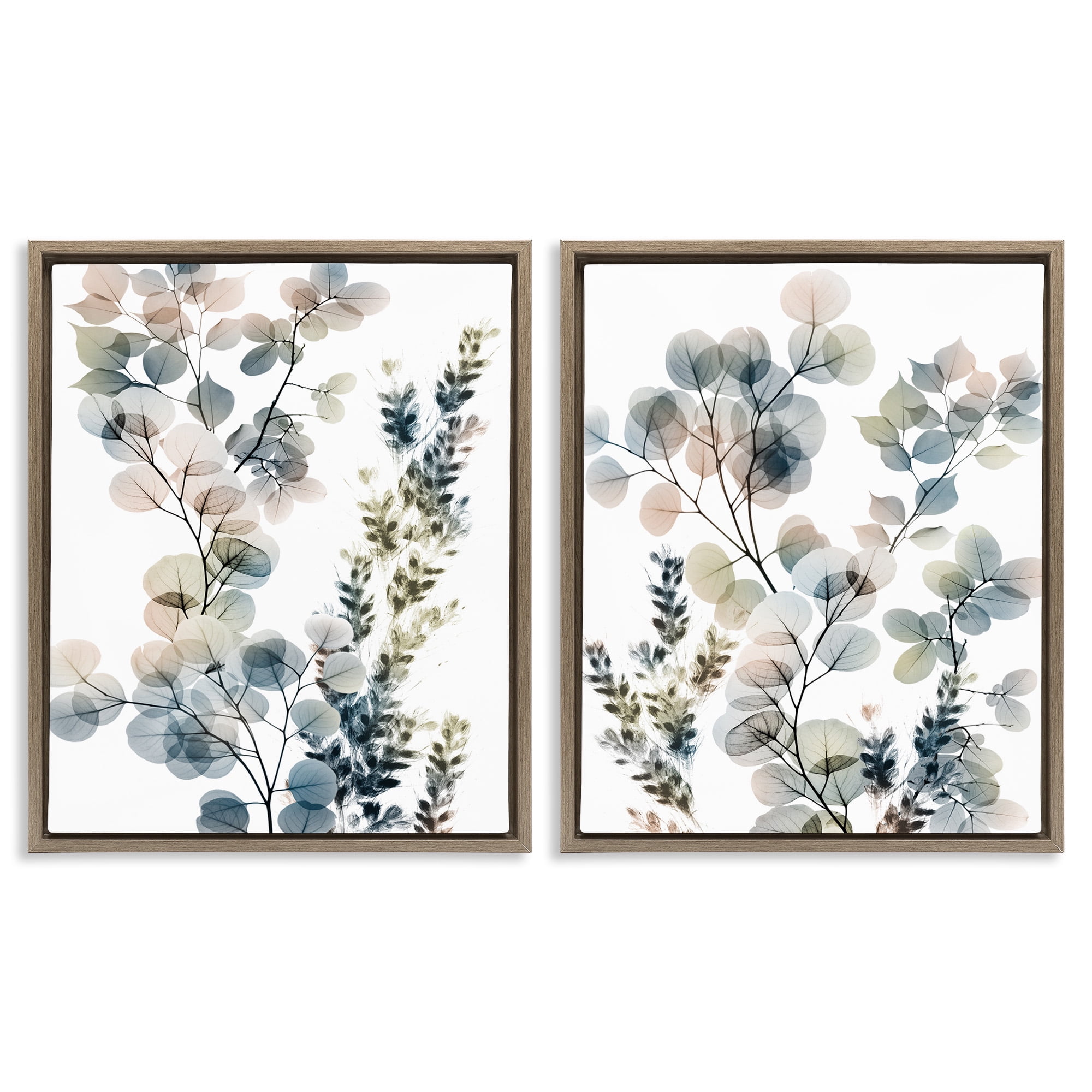 Stupell Industries Collage of Translucent Plants Botanical & Floral Photography Brown Floater Framed Canvas Art Print Wall Art, 17 x 21, Set of 2