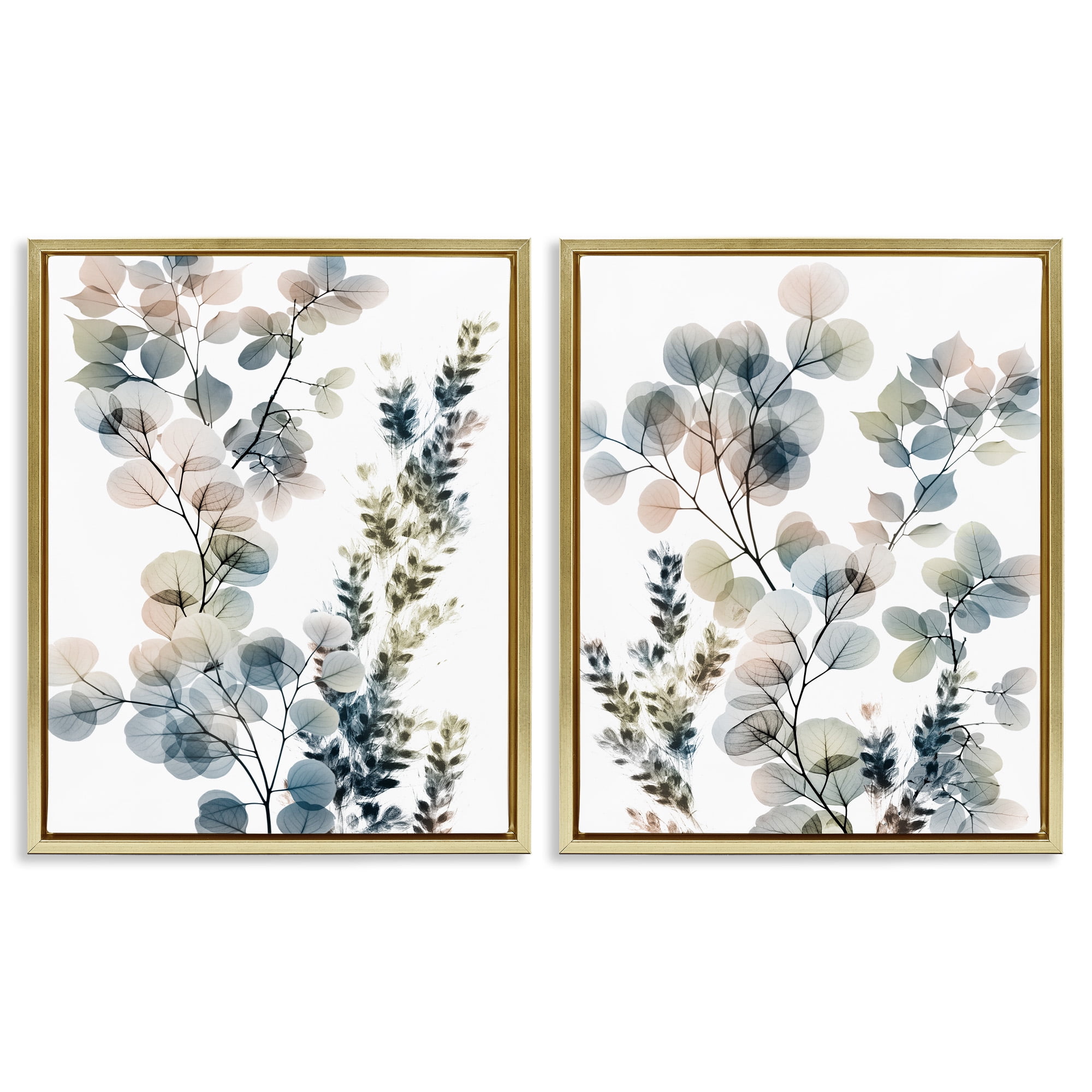 Stupell Industries Collage of Translucent Plants Botanical & Floral Photography Gold Floater Framed Canvas Art Print Wall Art, 25 x 31, Set of 2