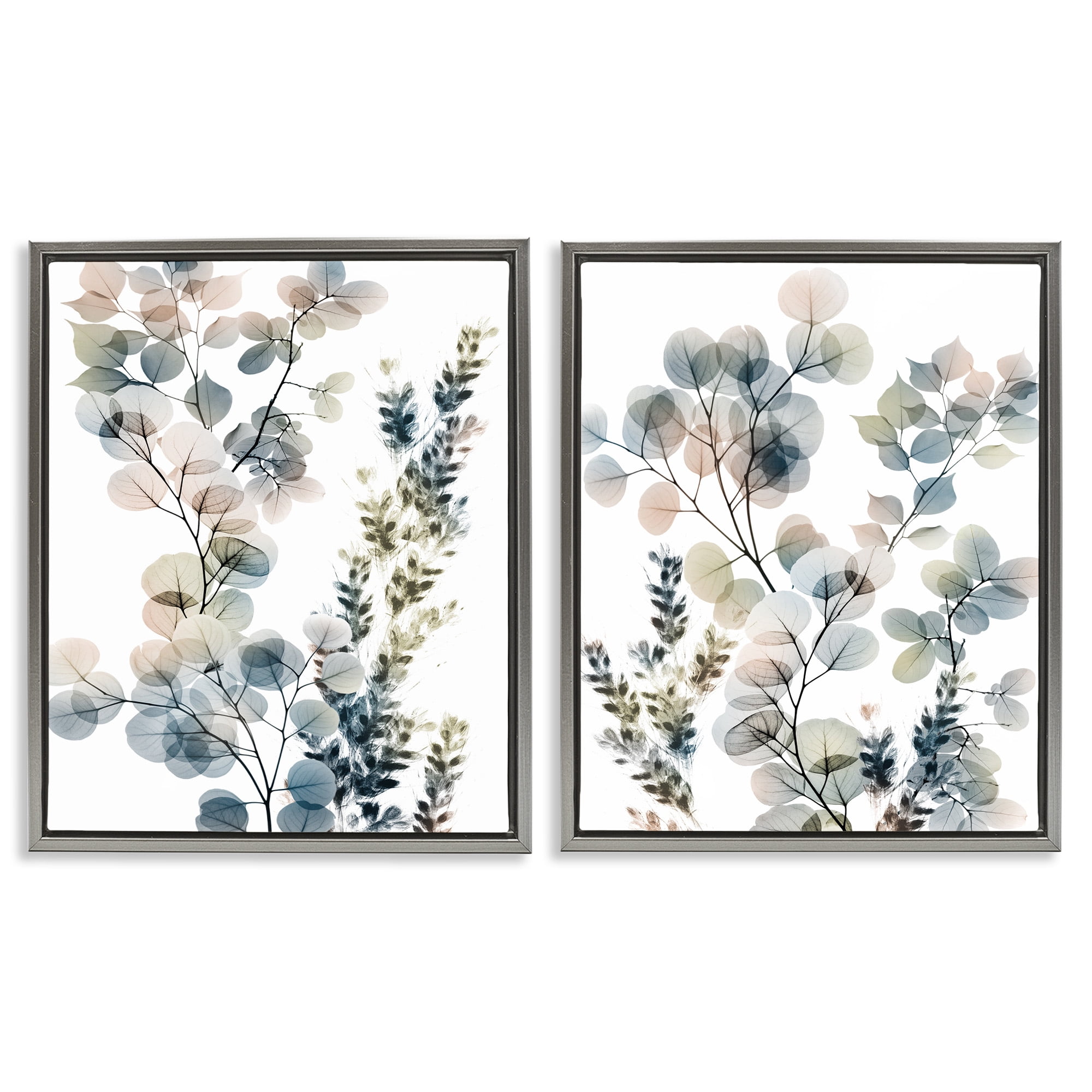 Stupell Industries Collage of Translucent Plants Botanical & Floral Photography Gray Floater Framed Canvas Art Print Wall Art, 17 x 21, Set of 2