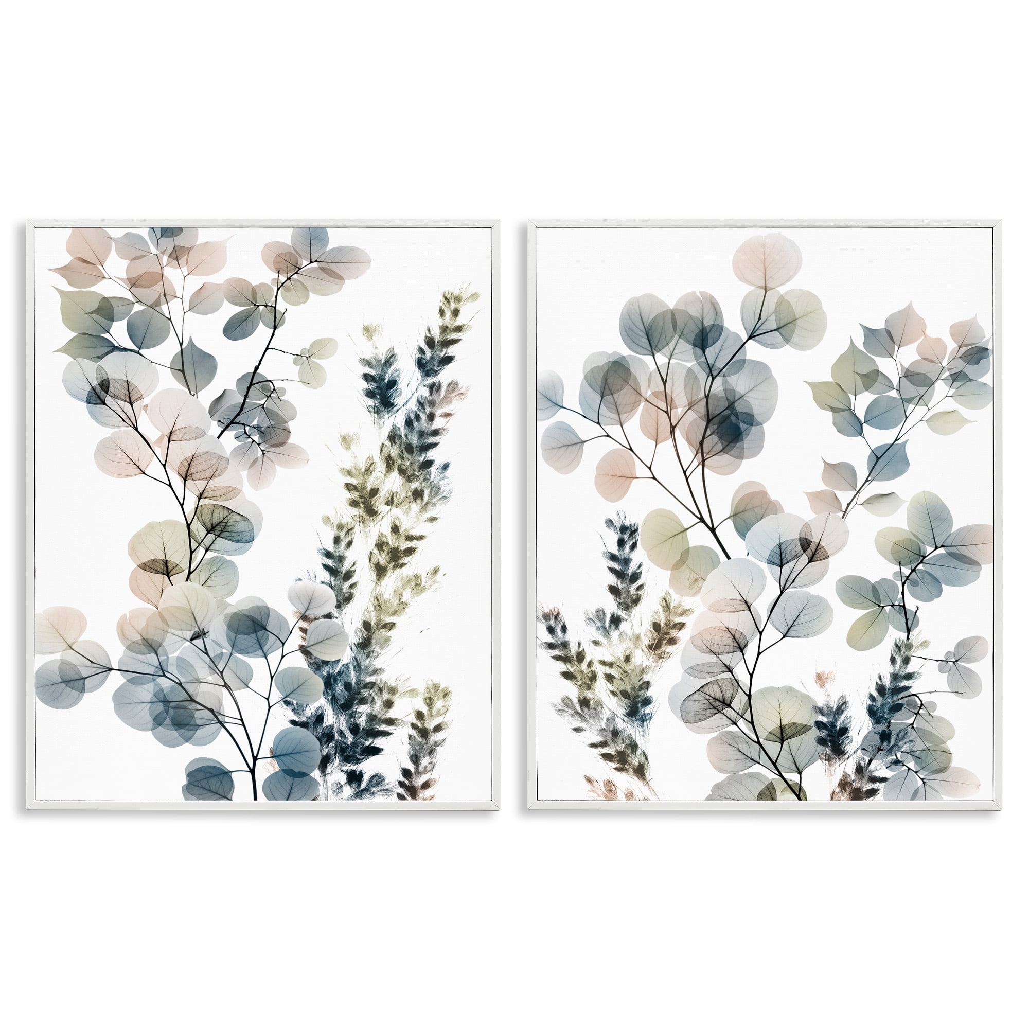 Stupell Industries Collage of Translucent Plants Botanical & Floral Photography White Framed Art Print Wall Art, 16 x 20, Set of 2