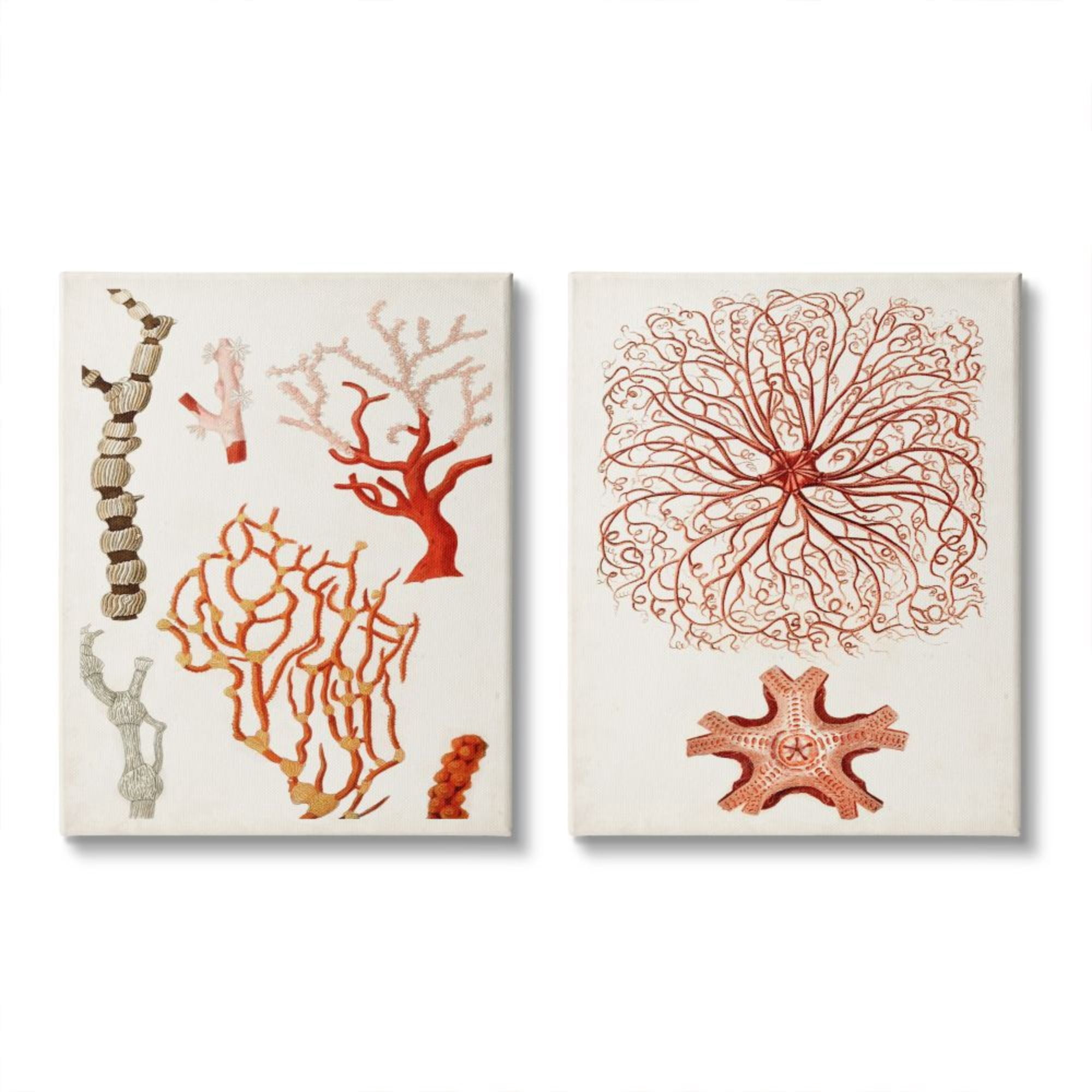 Stupell Industries Collage of Unique Ocean Coral Red Brown Design by Unknown Artist, 2 Piece, 16" x 20"